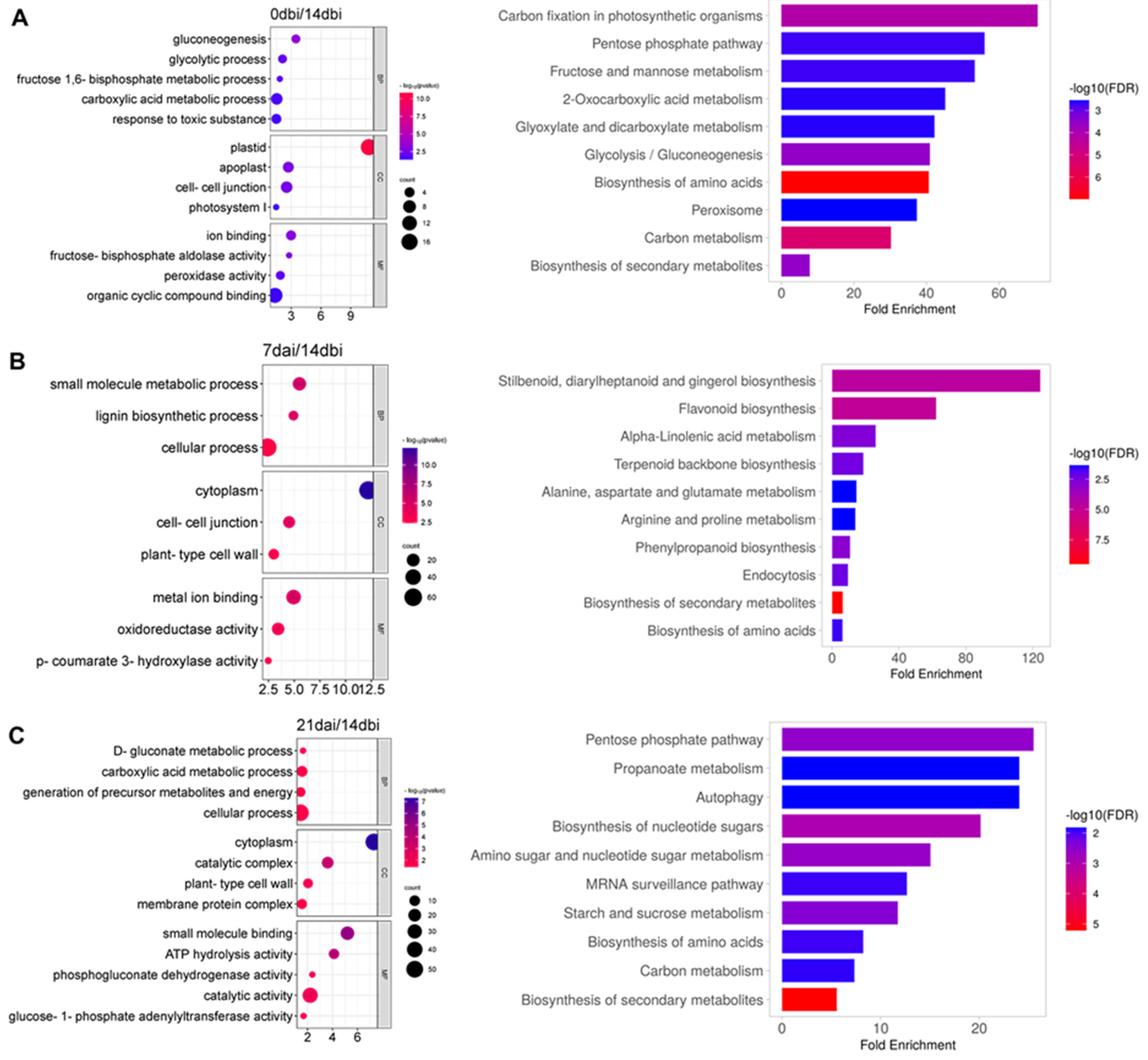 Plants 12 04095 g005