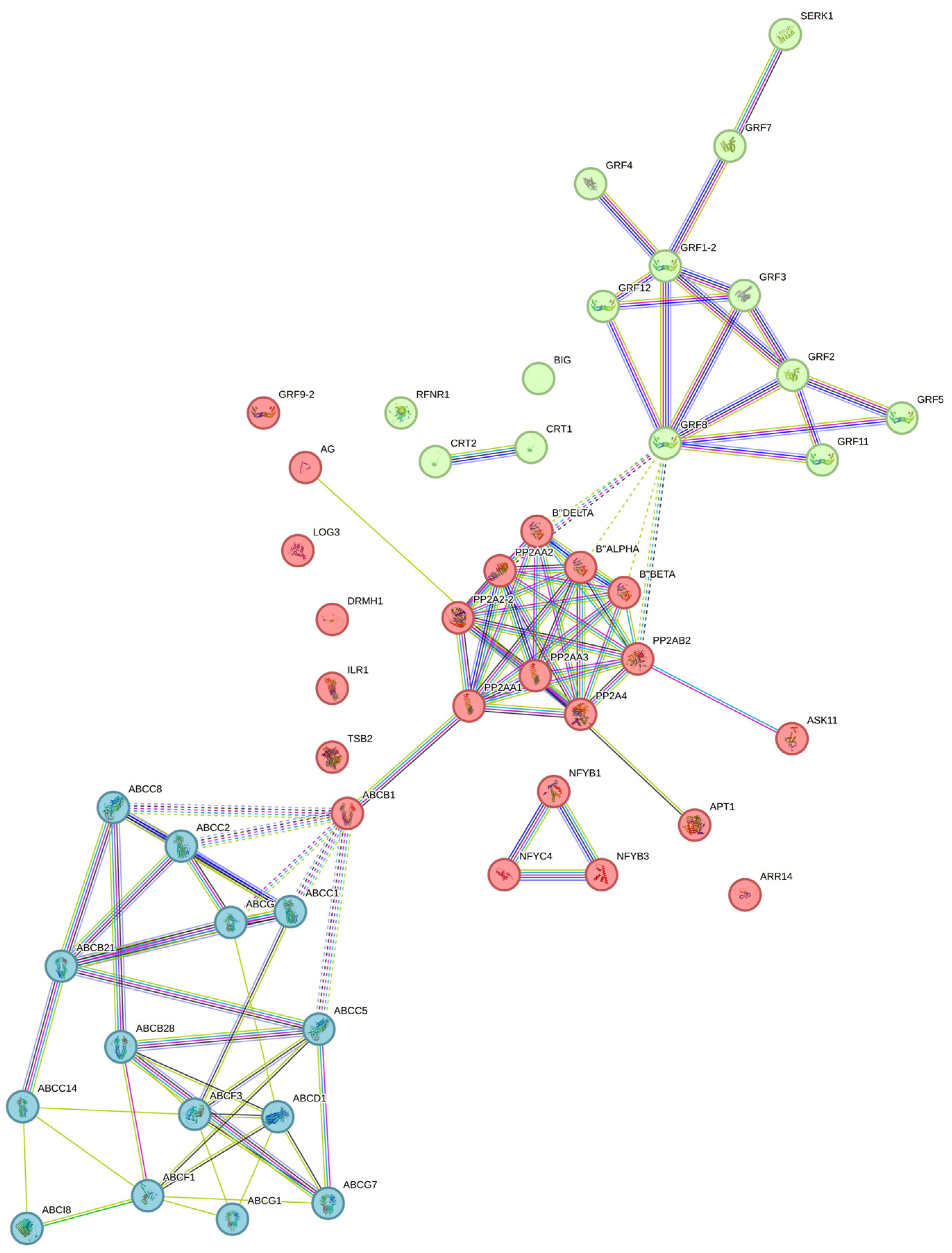 Plants 12 04095 g006