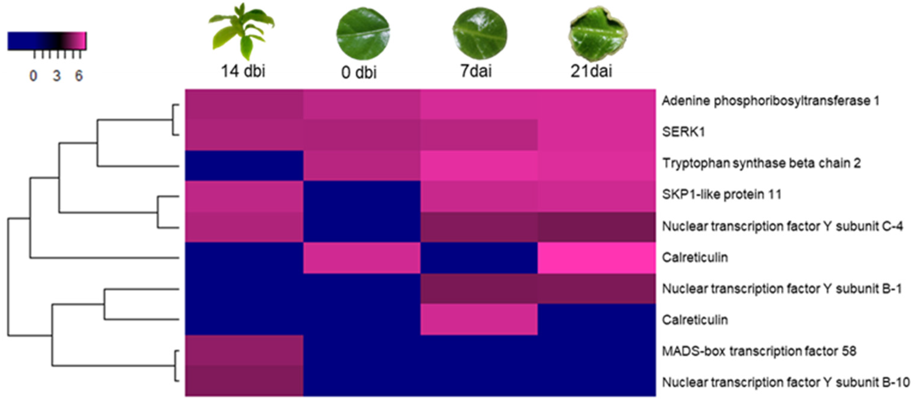 Plants 12 04095 g008