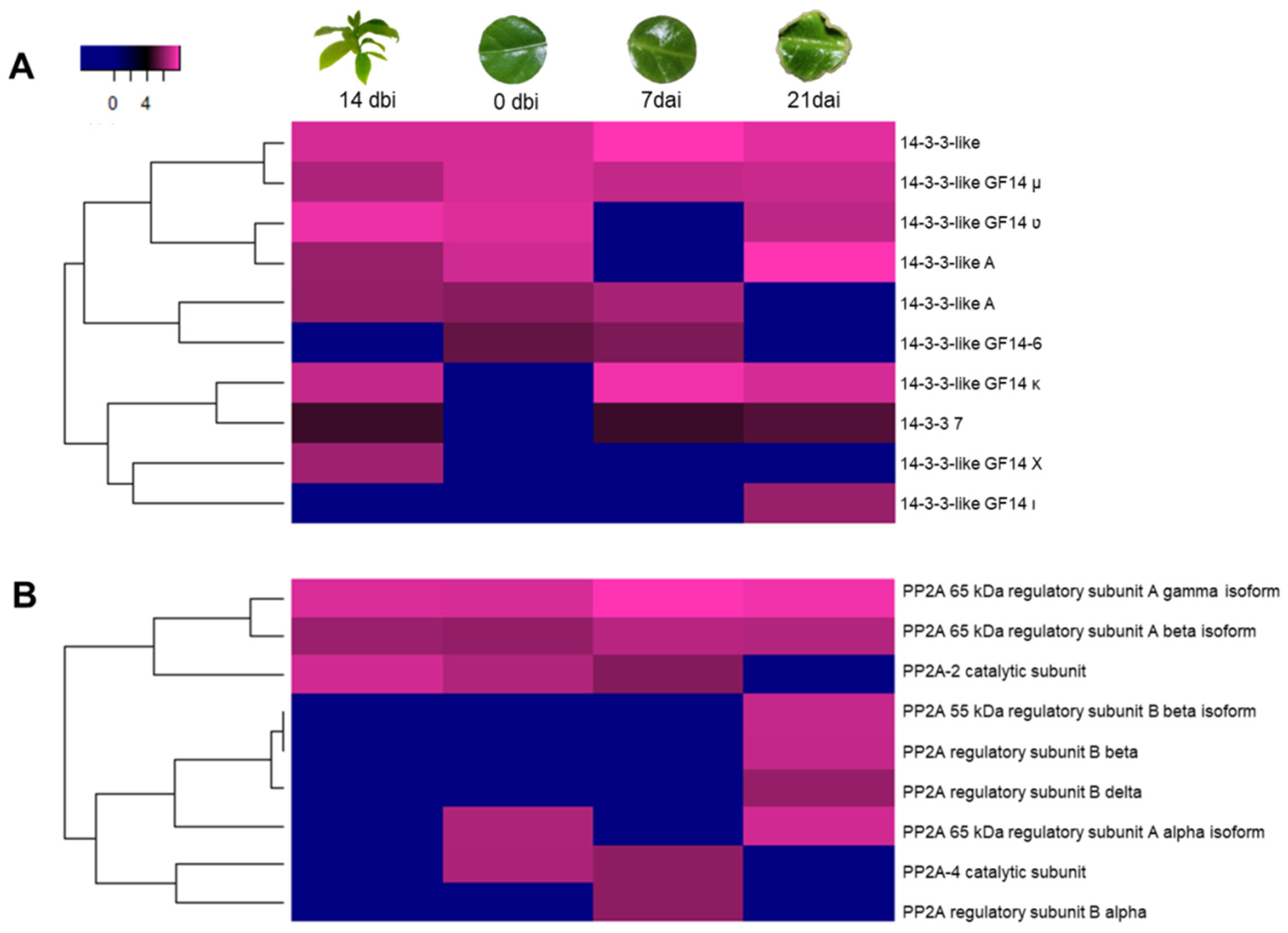 Plants 12 04095 g009