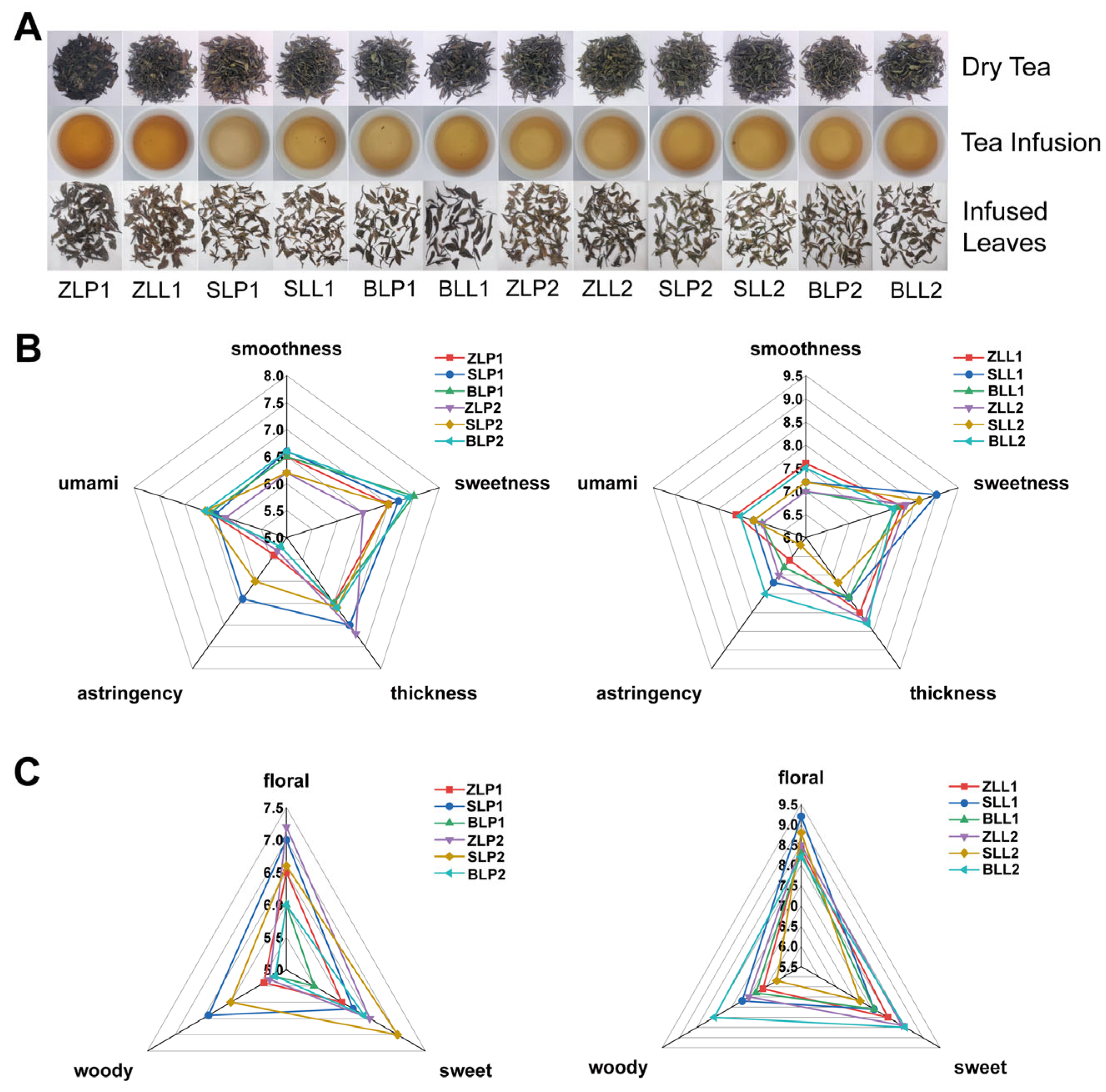 Plants 12 04102 g003