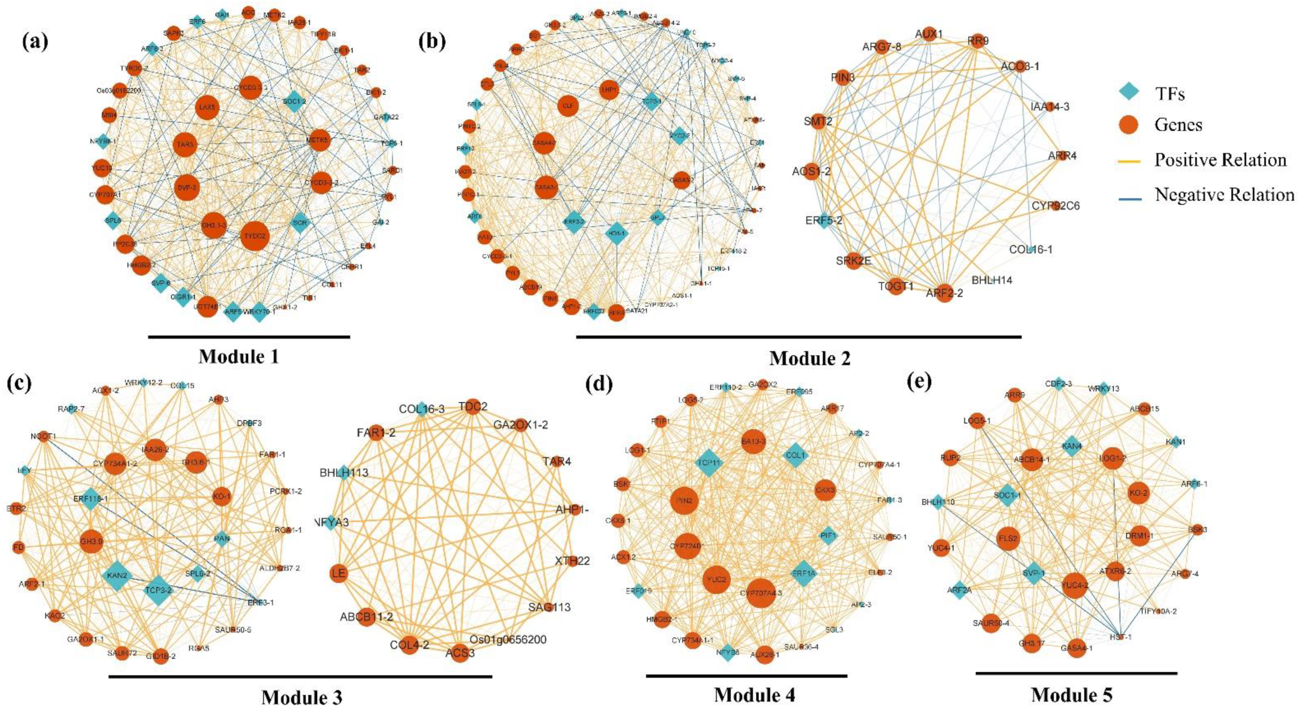 Plants 12 04103 g004 Plants 12 04103 g004