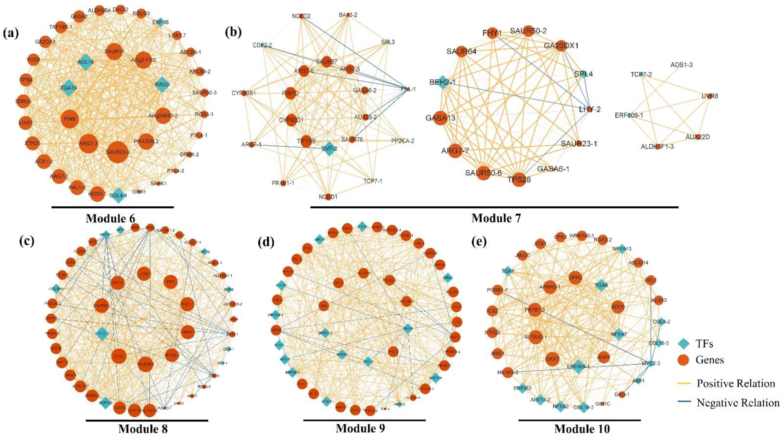 Plants 12 04103 g005 Plants 12 04103 g005