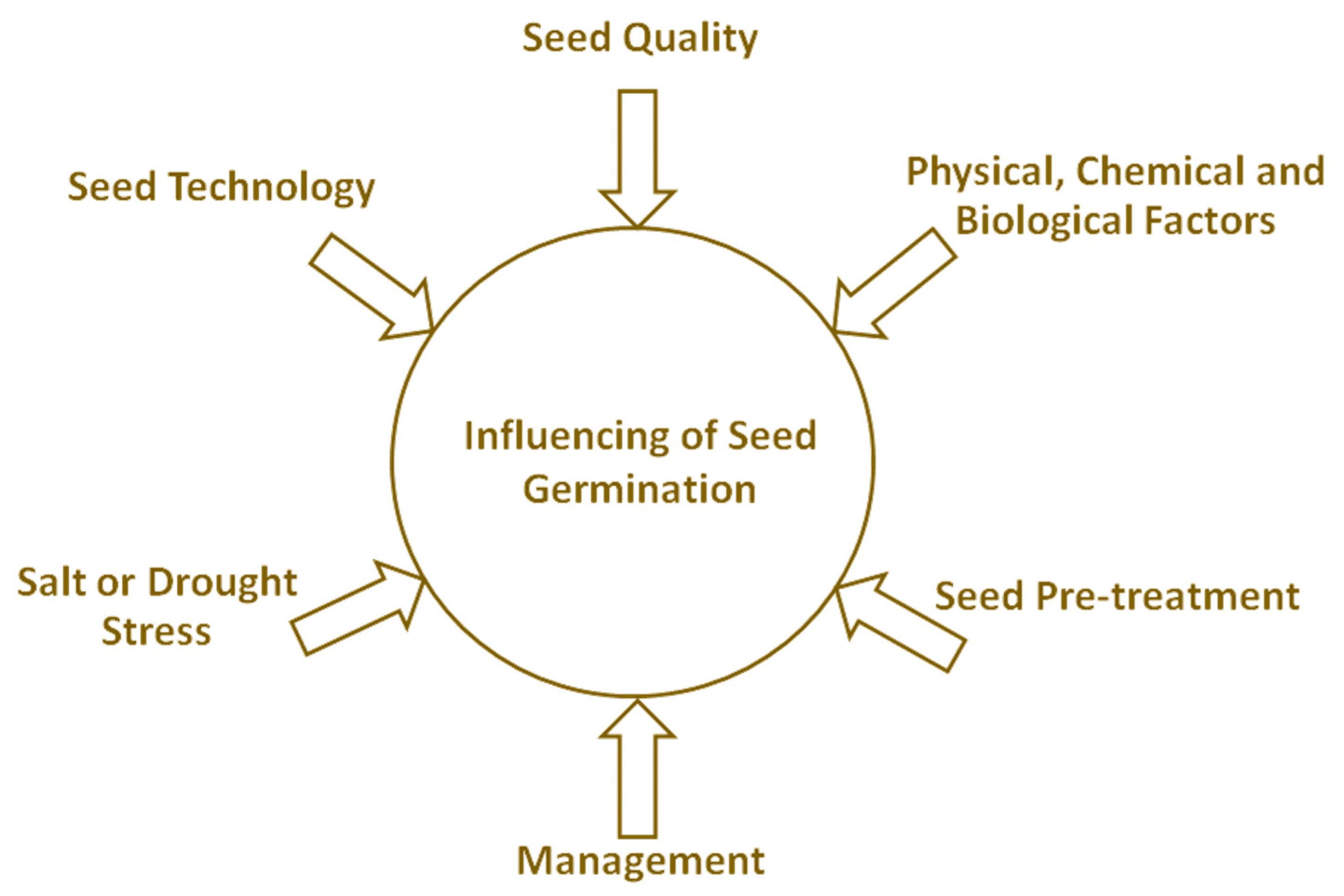 Plants Free FullText and Environmental Factors Affecting