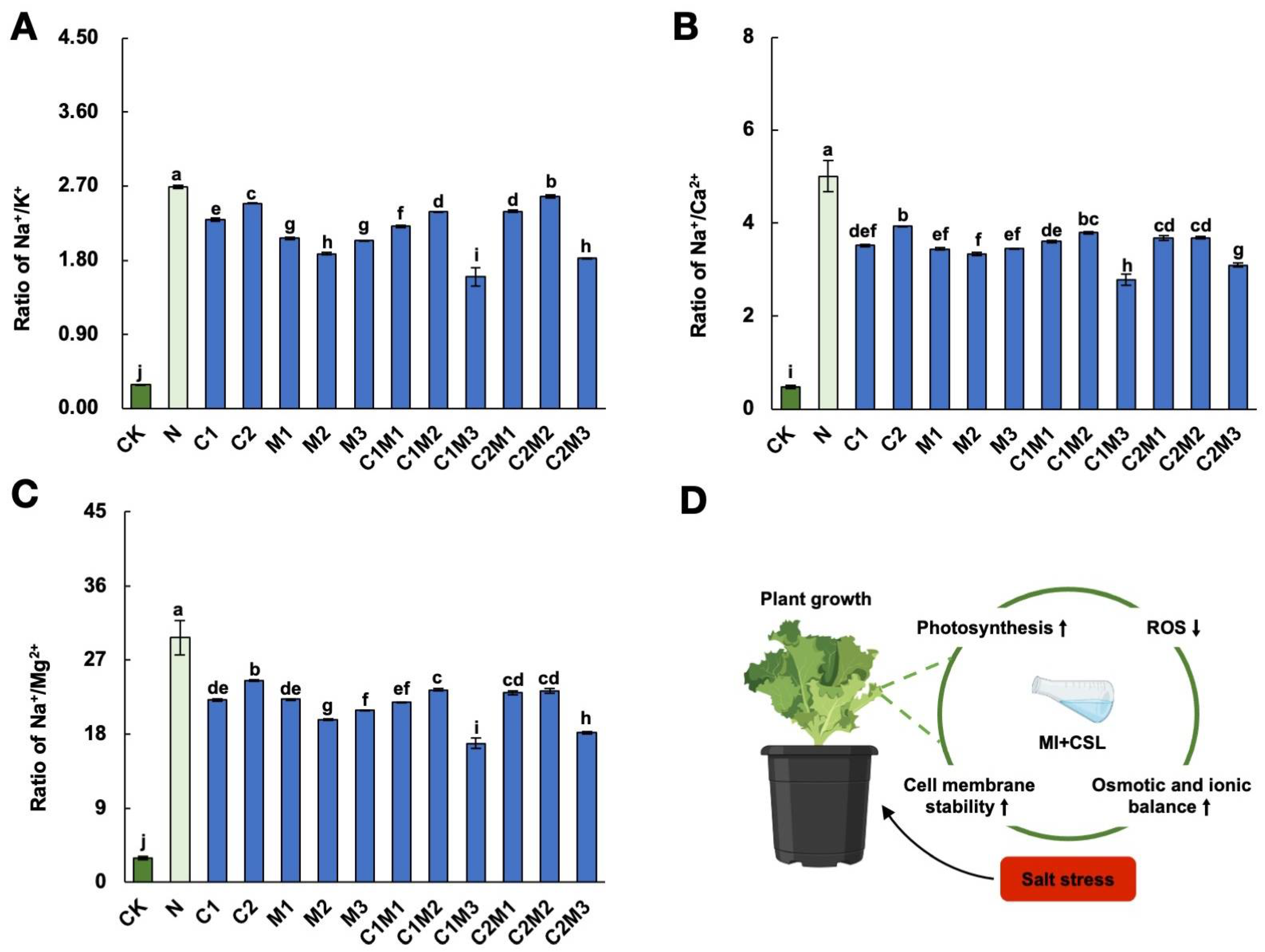 Plants 12 04110 g005
