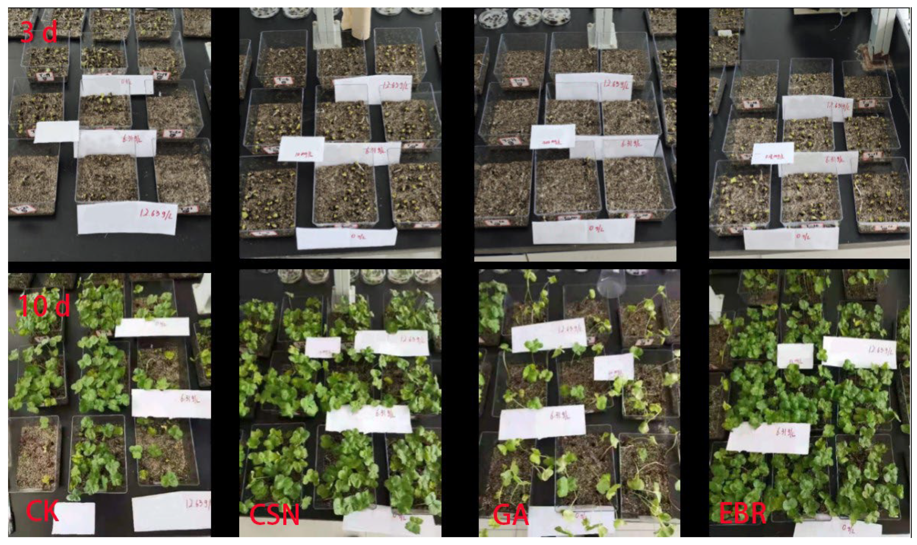 Plants 12 04112 g002