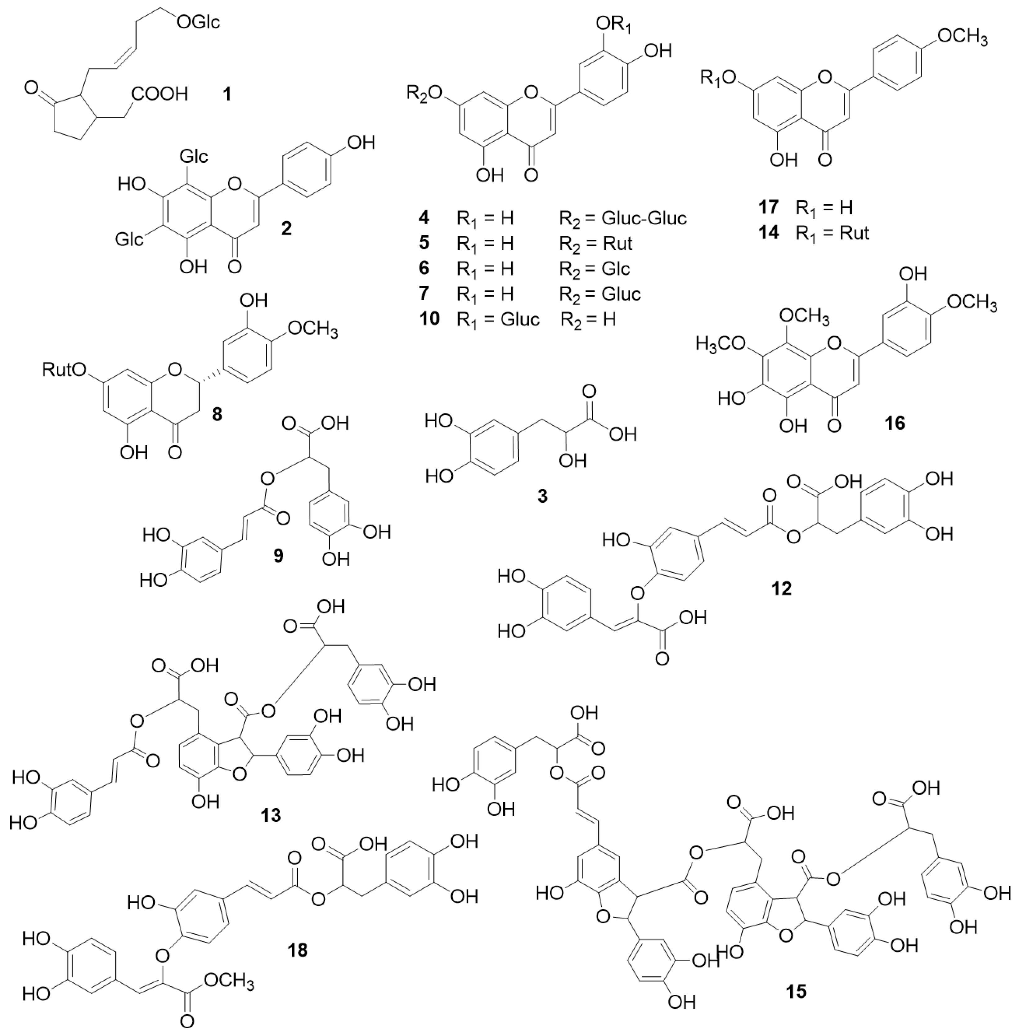 Plants 12 04114 g001
