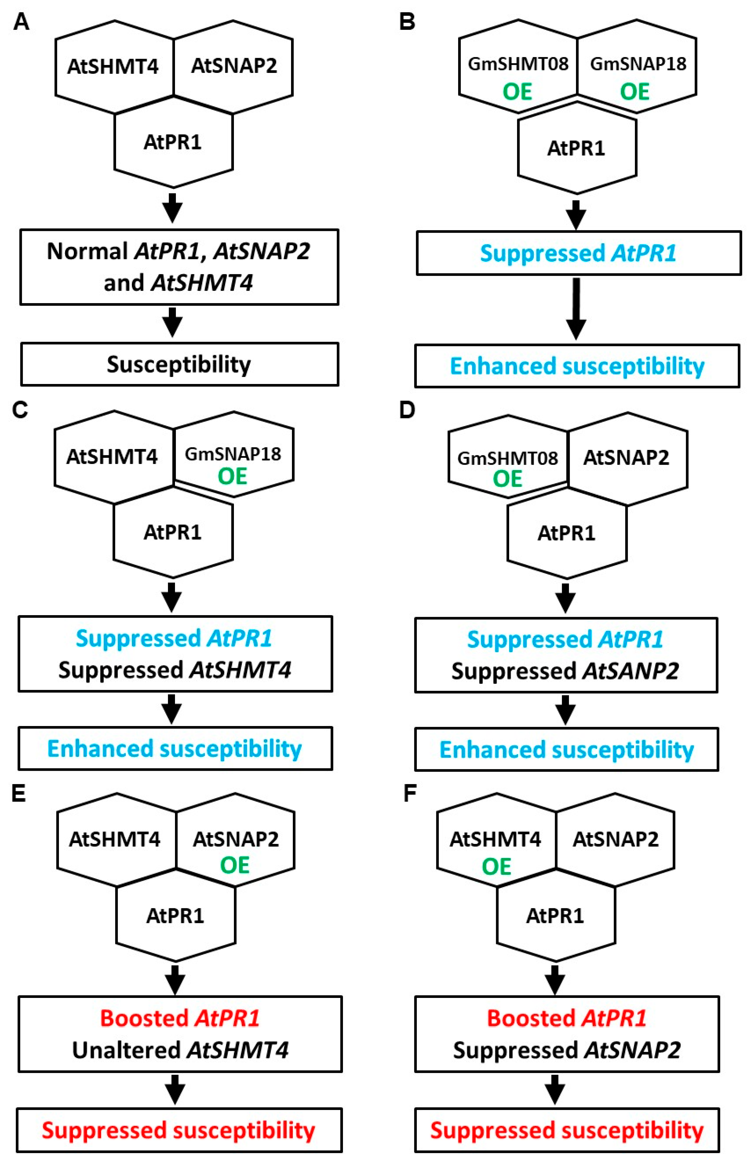 Plants 12 04118 g006