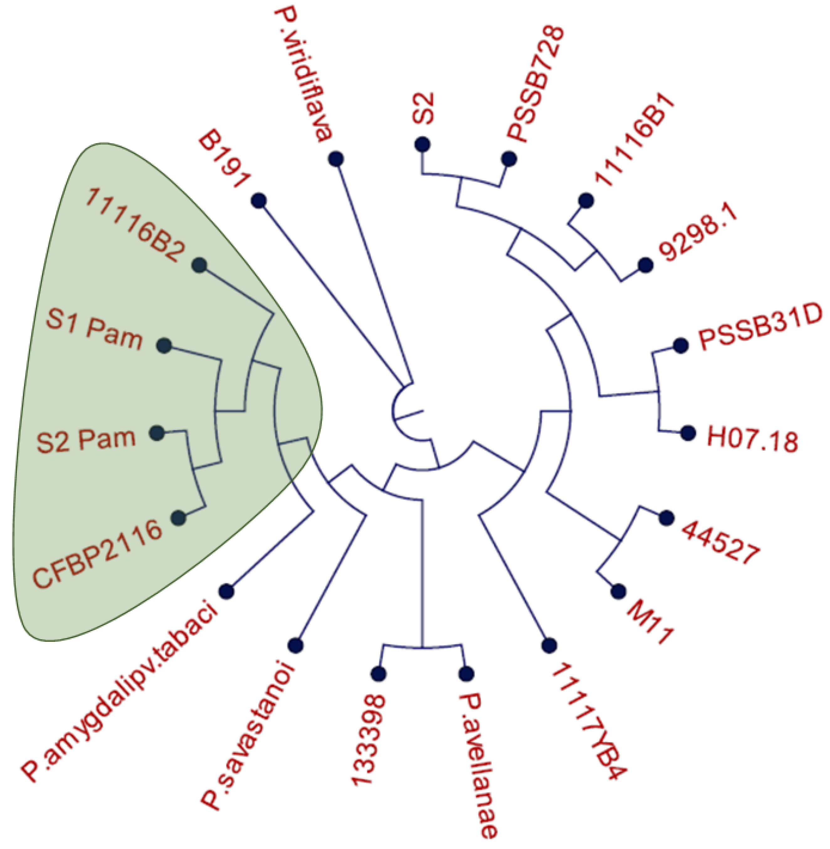 Plants 12 04119 g001