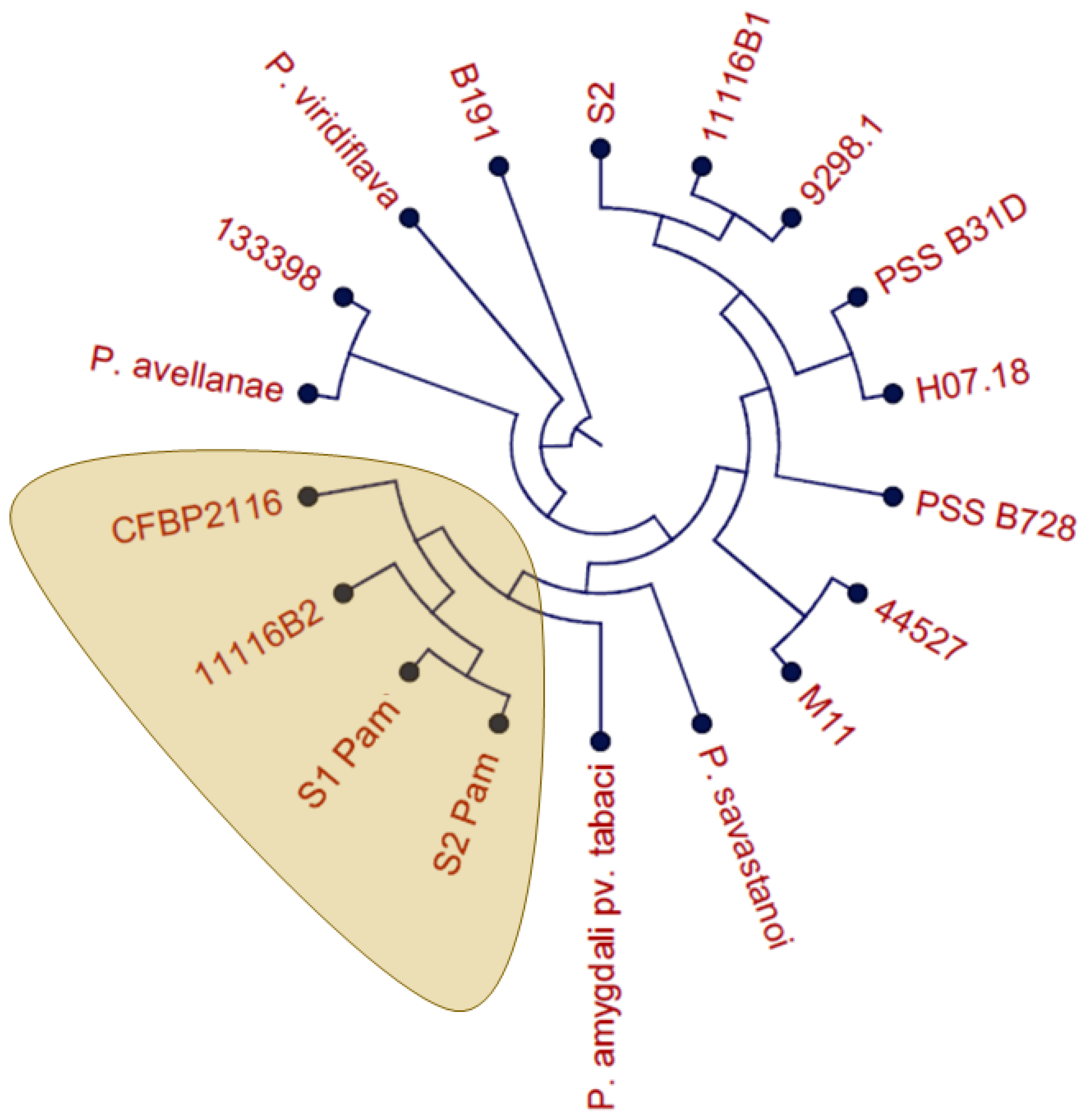 Plants 12 04119 g002