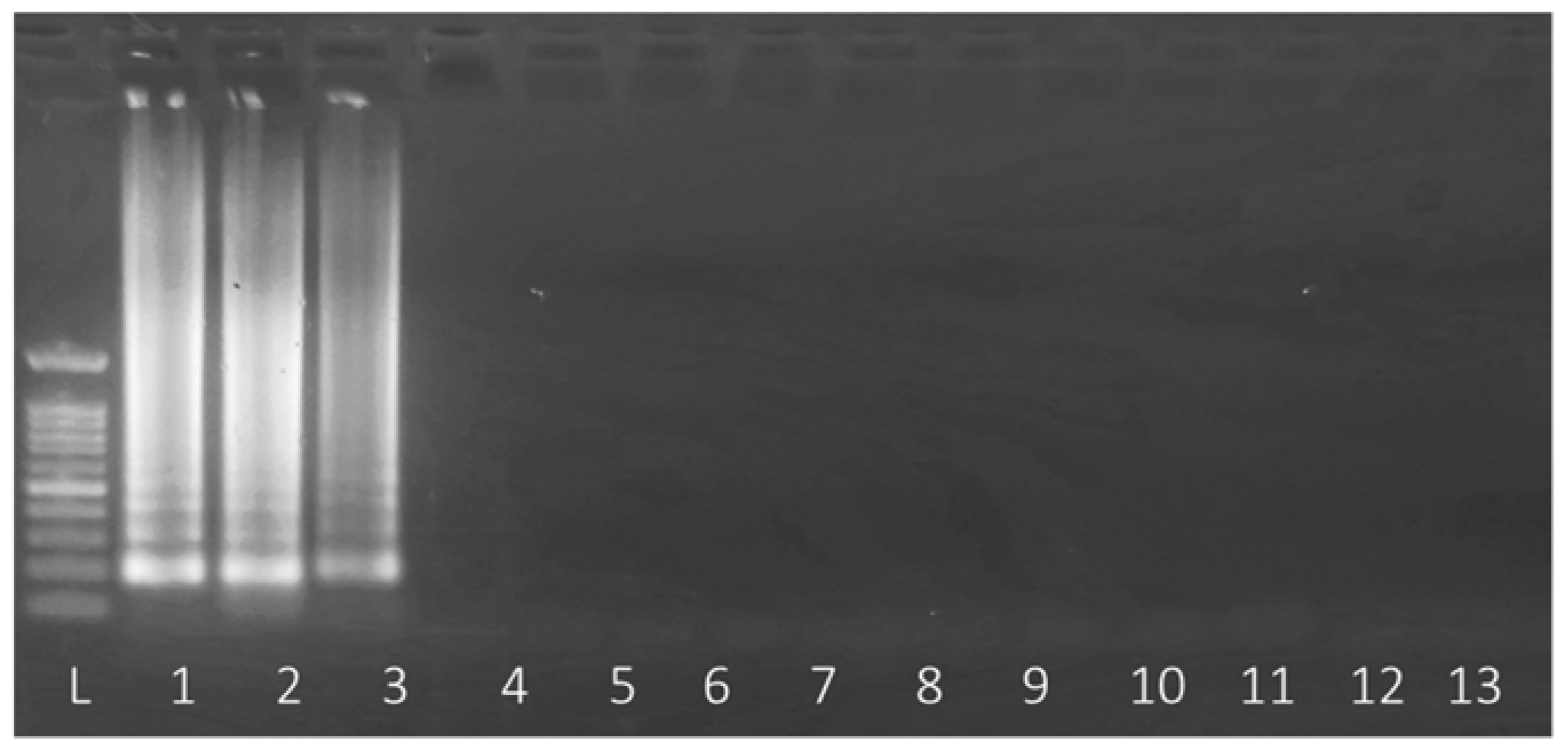 Plants 12 04119 g003