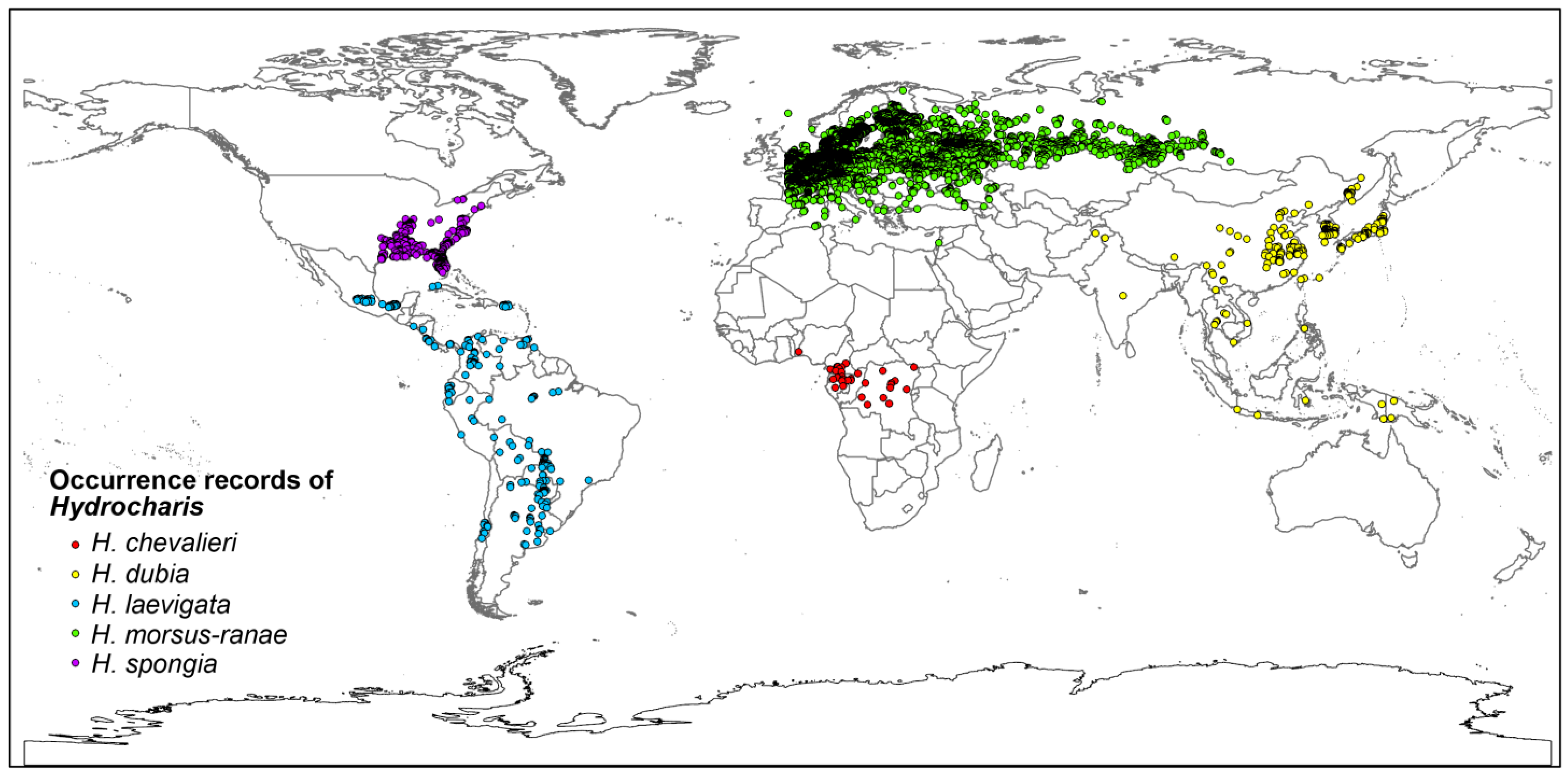Plants 12 04124 g001