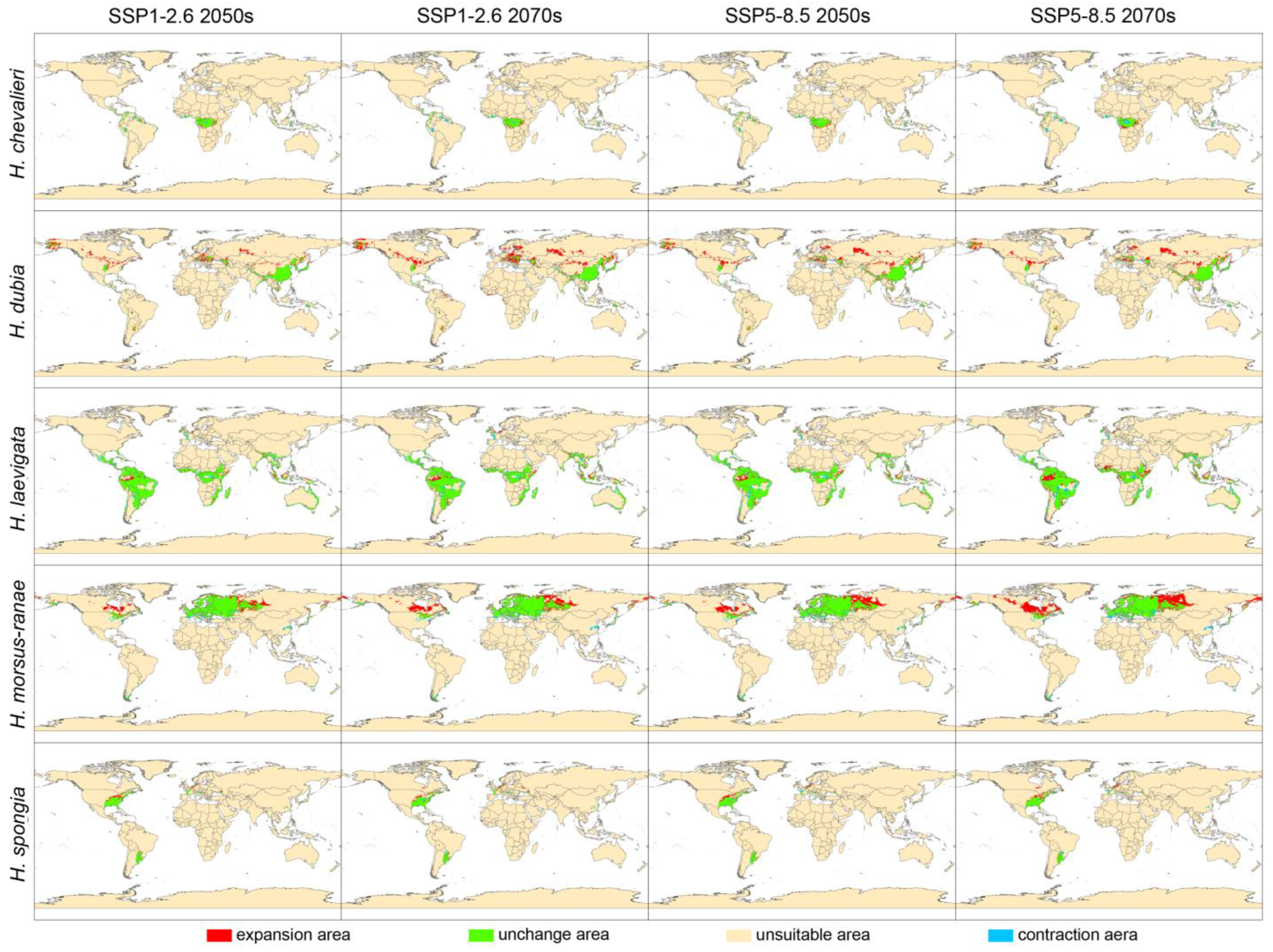 Plants 12 04124 g003