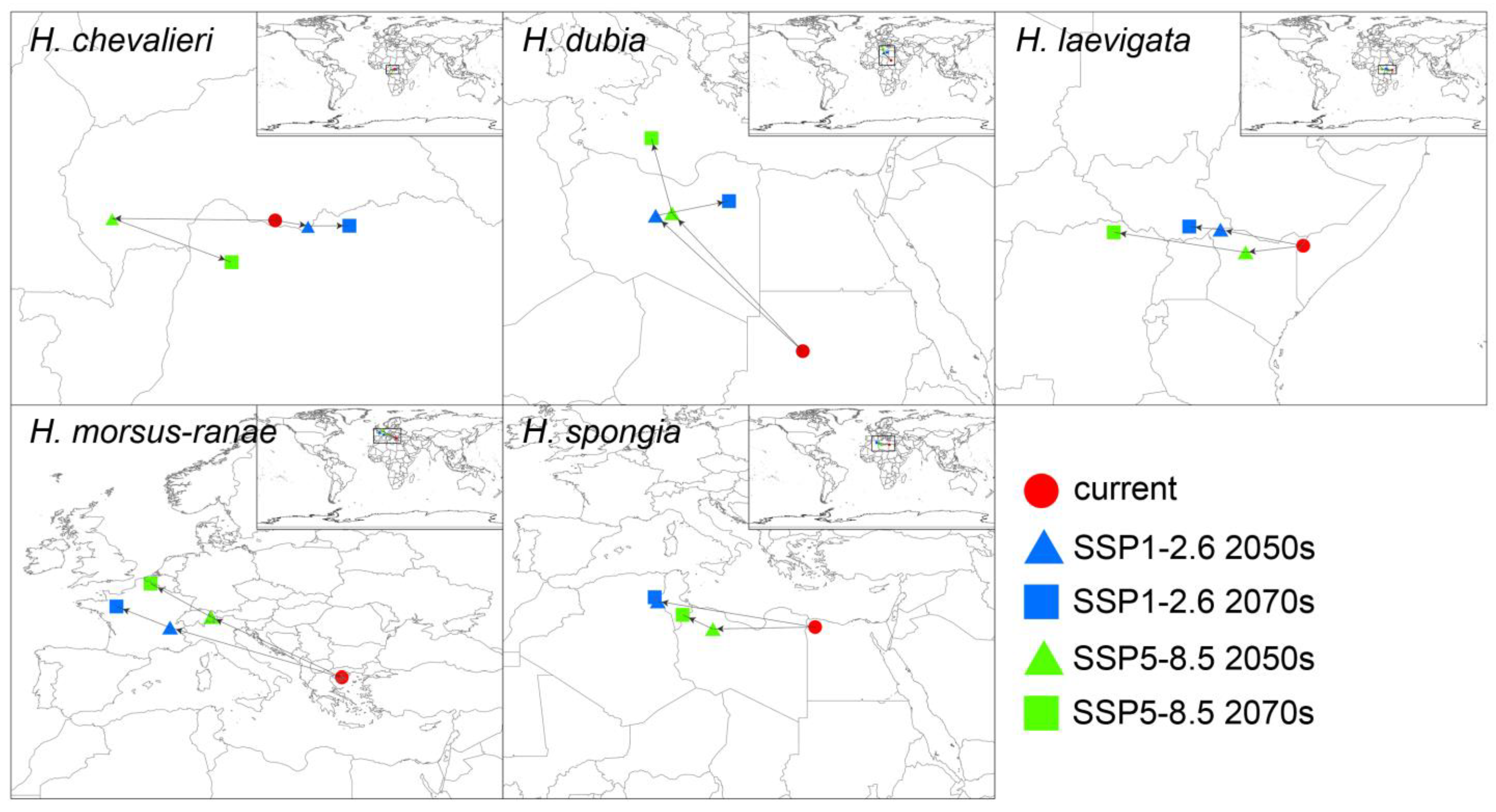 Plants 12 04124 g005