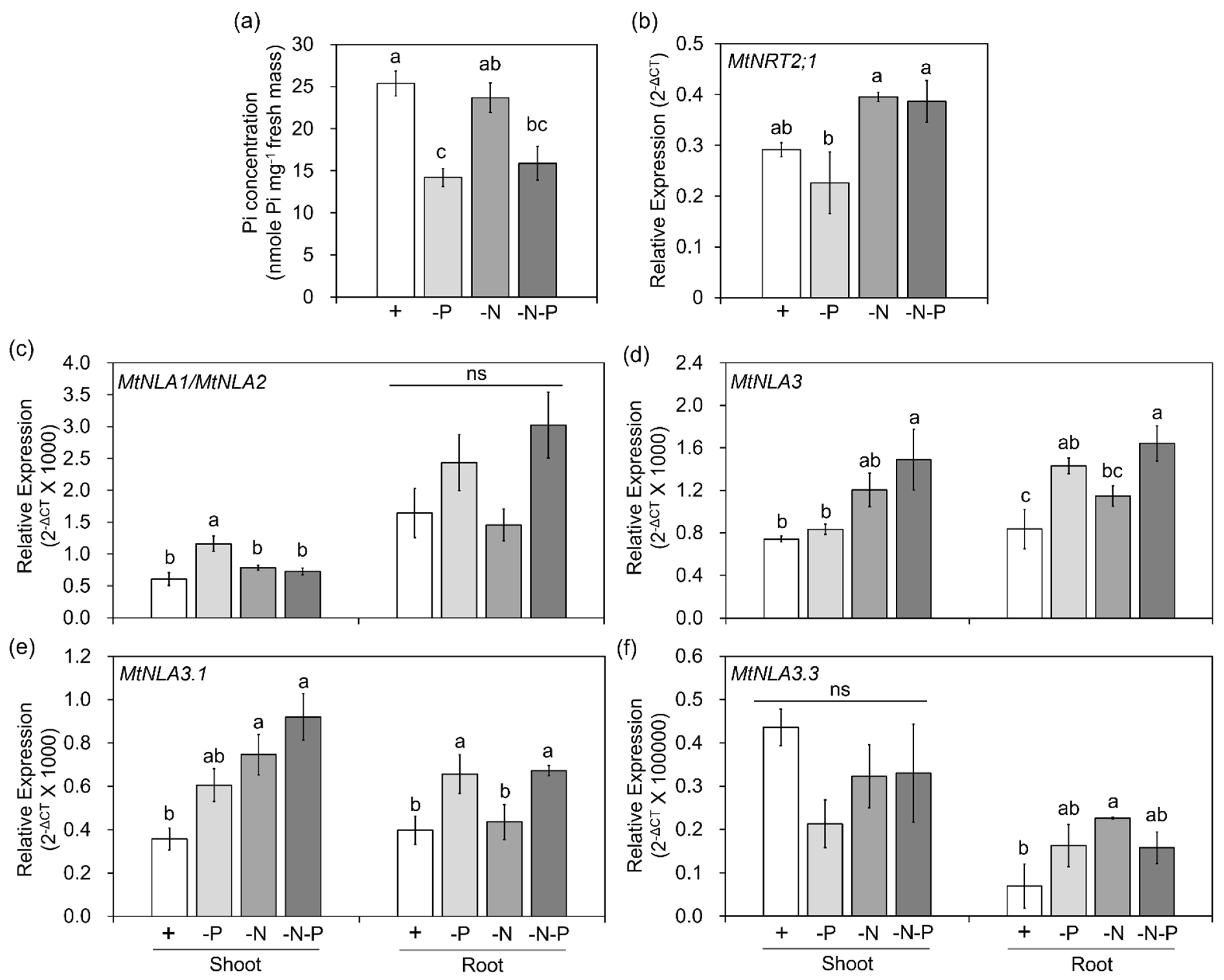 Plants 12 04129 g003