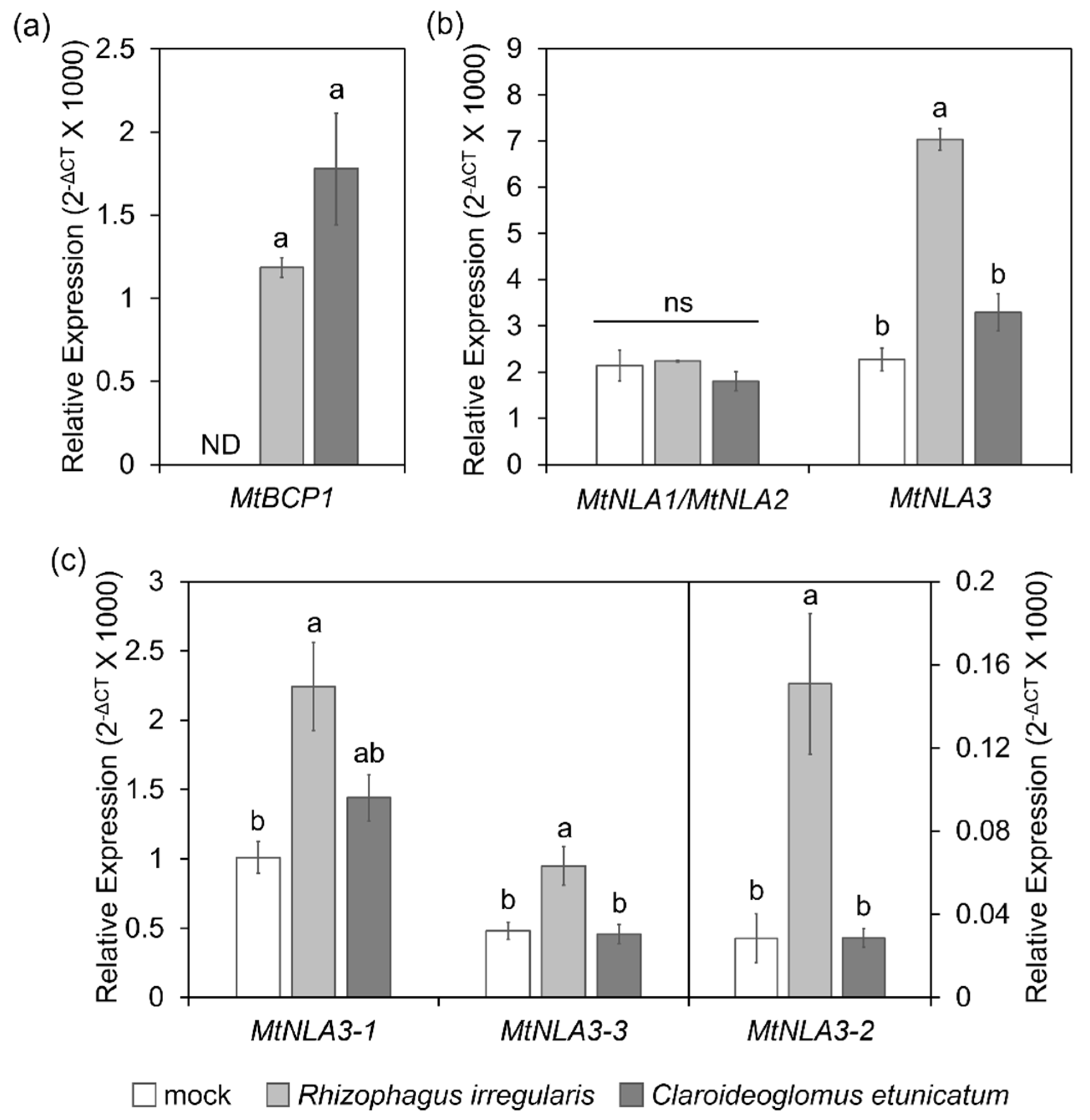 Plants 12 04129 g004
