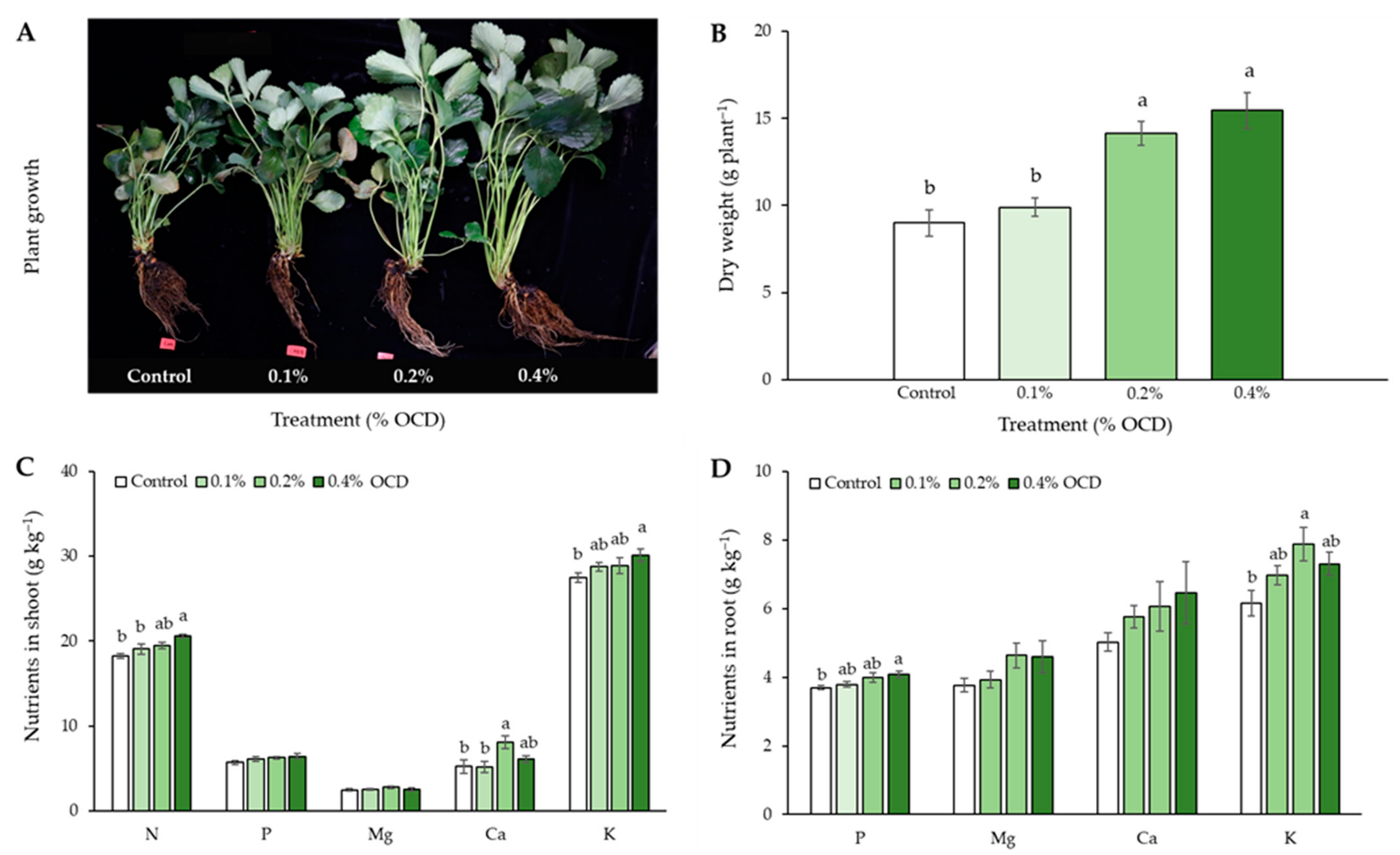Plants 12 04132 g001
