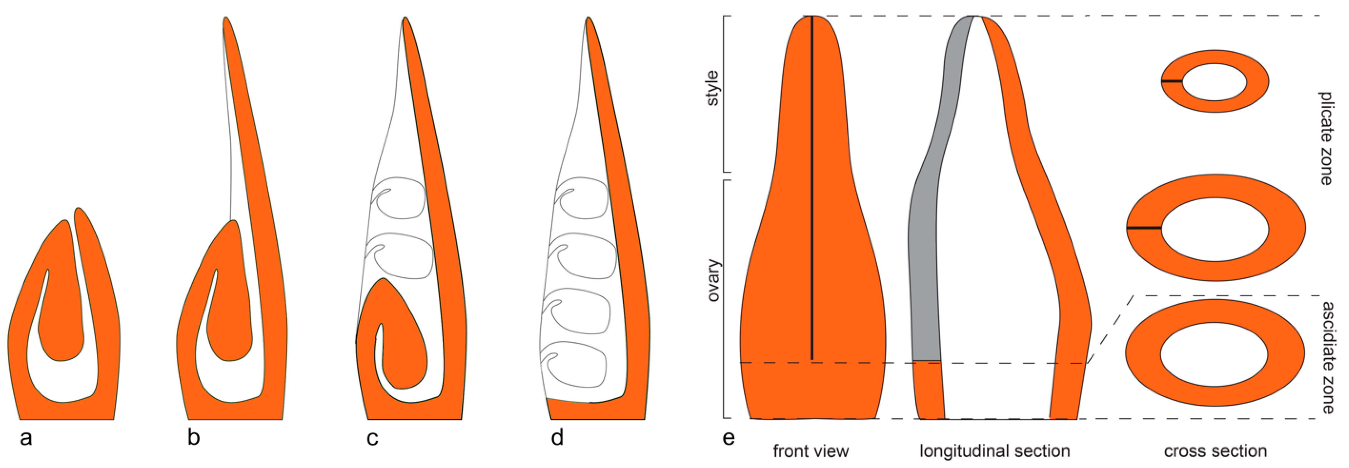Plants 12 04138 g001 Plants 12 04138 g001