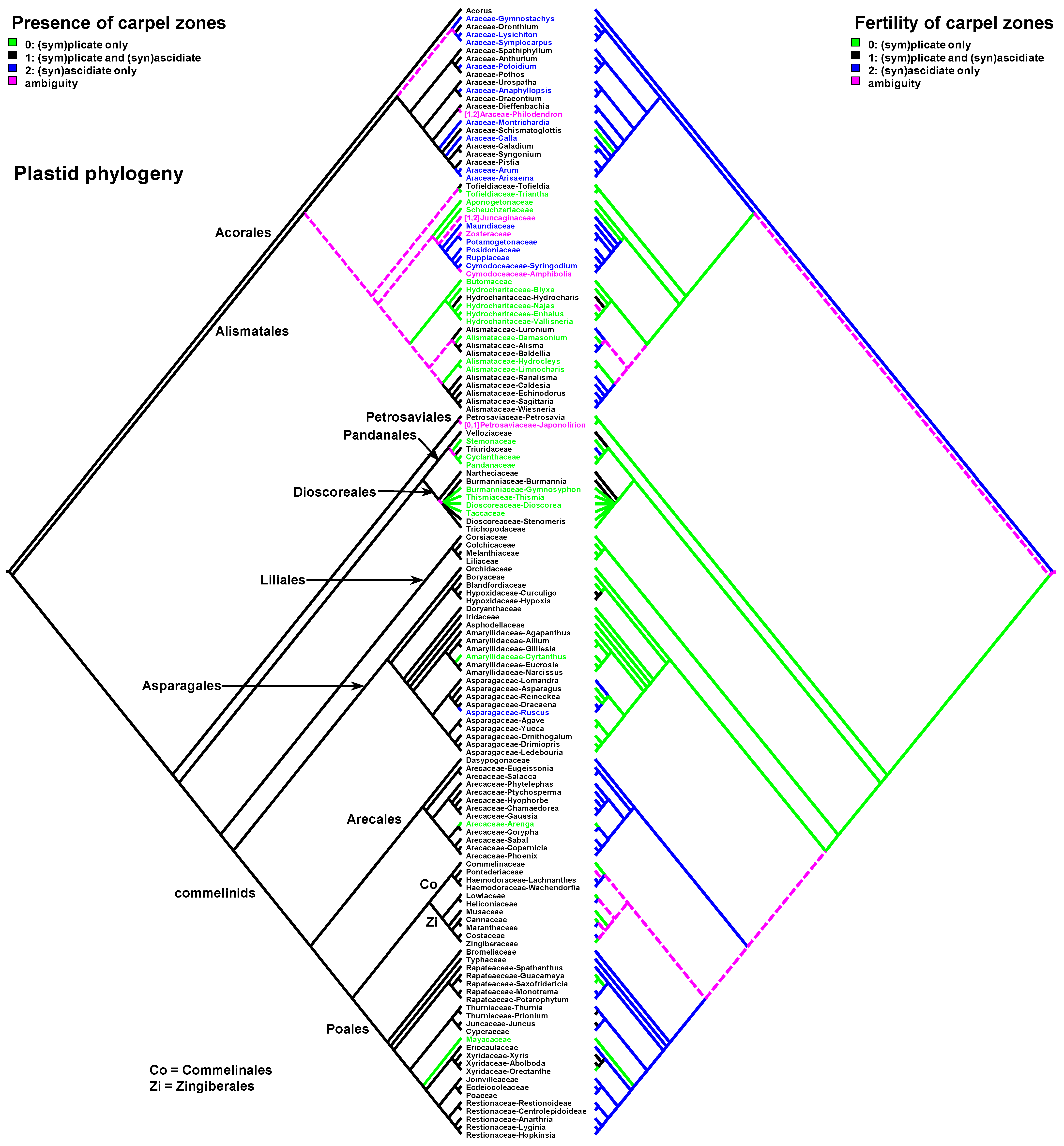 Plants 12 04138 g002 Plants 12 04138 g002