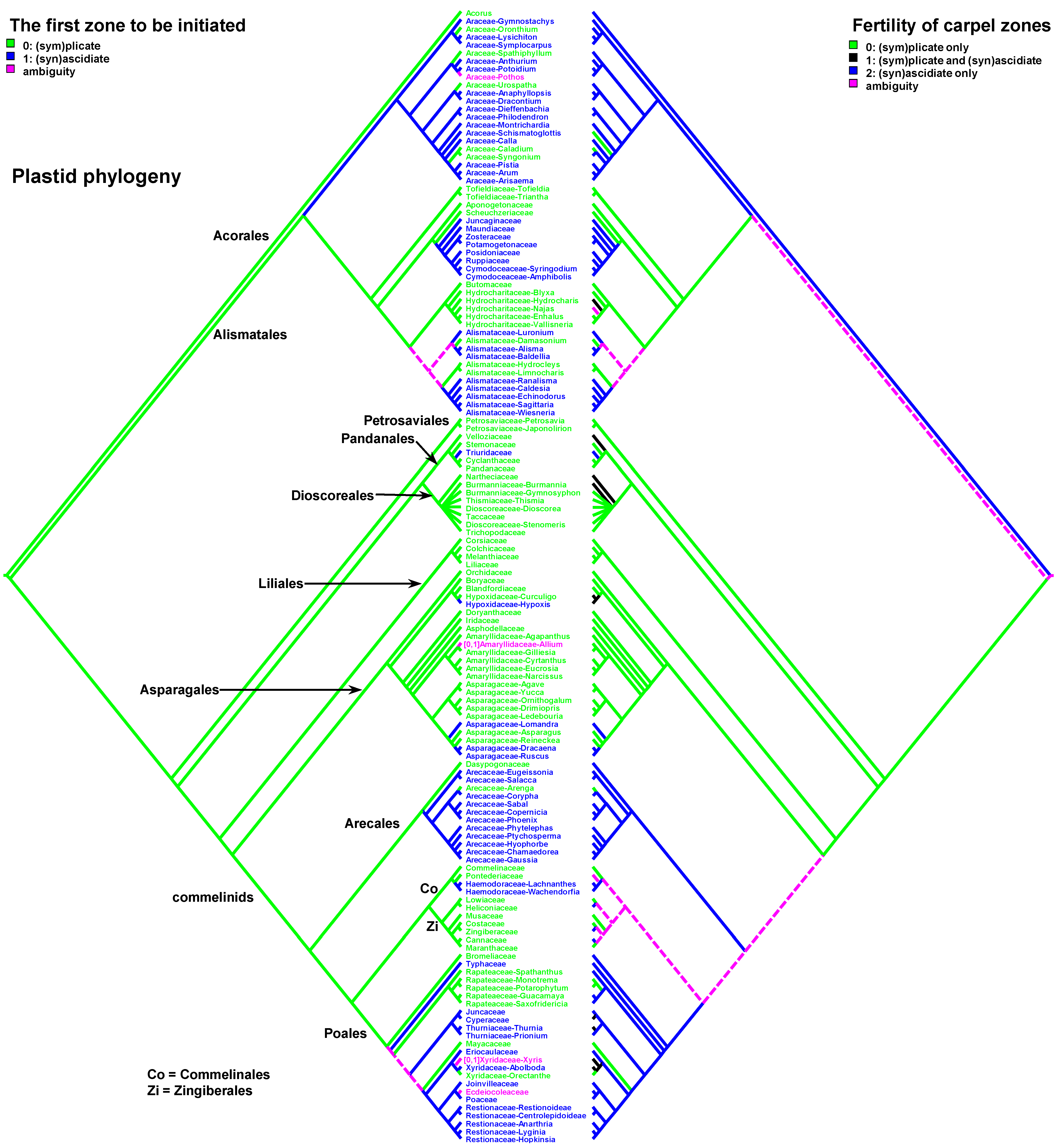 Plants 12 04138 g004 Plants 12 04138 g004