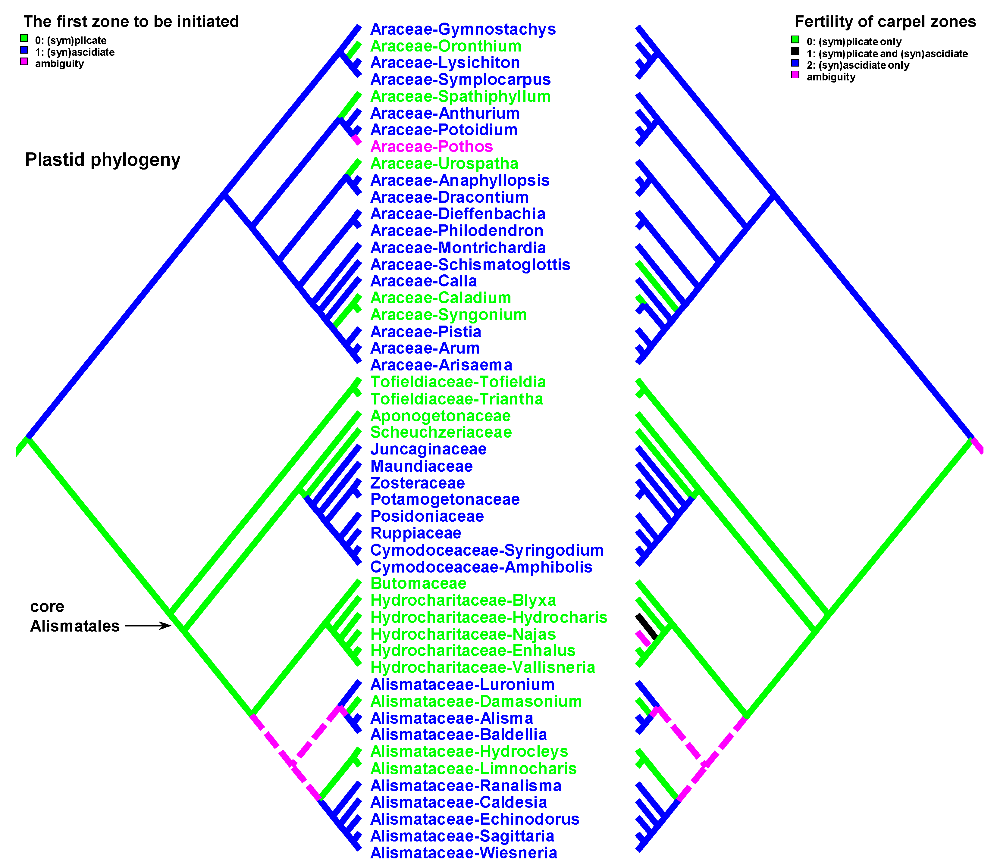 Plants 12 04138 g005 Plants 12 04138 g005
