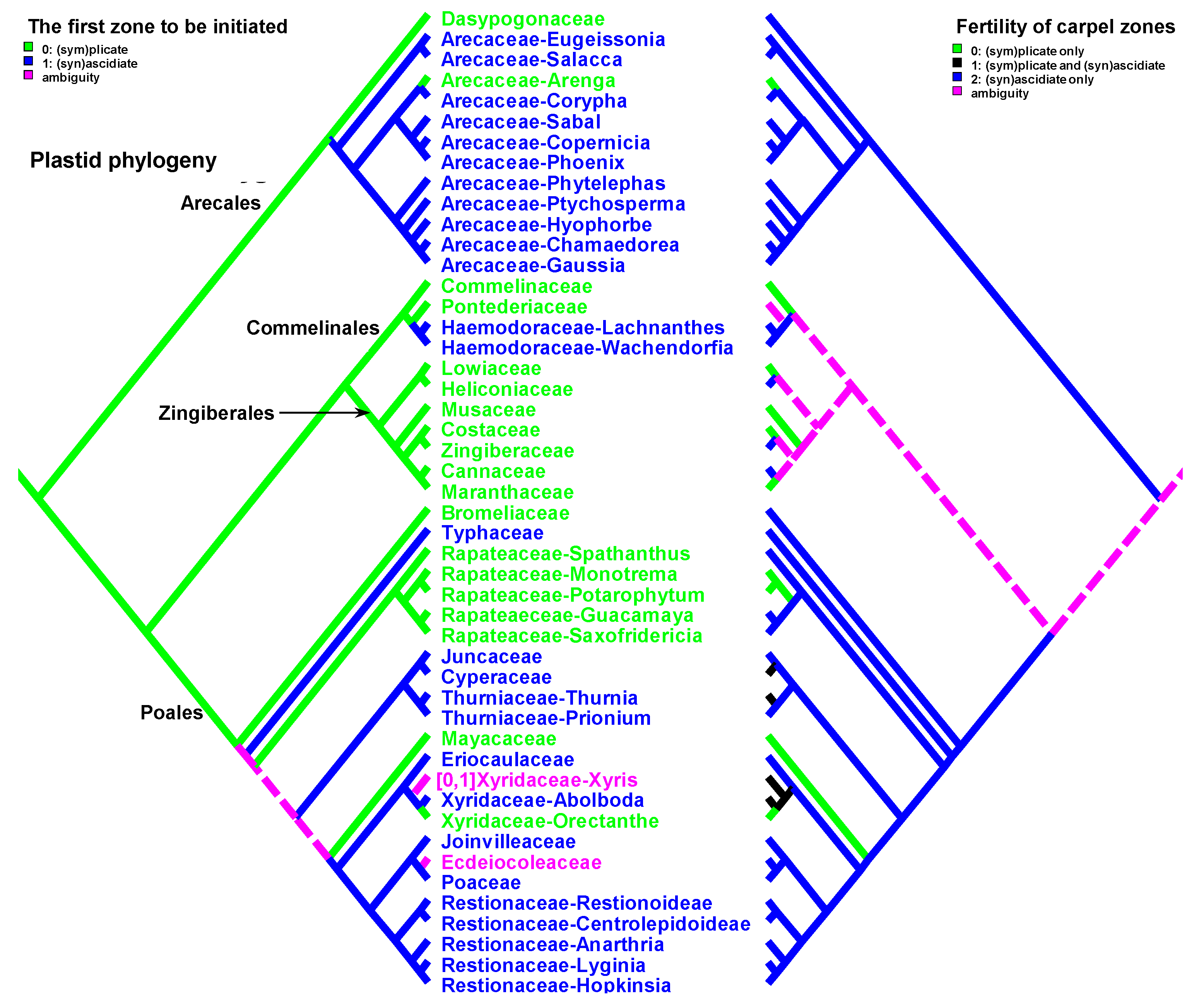Plants 12 04138 g006 Plants 12 04138 g006