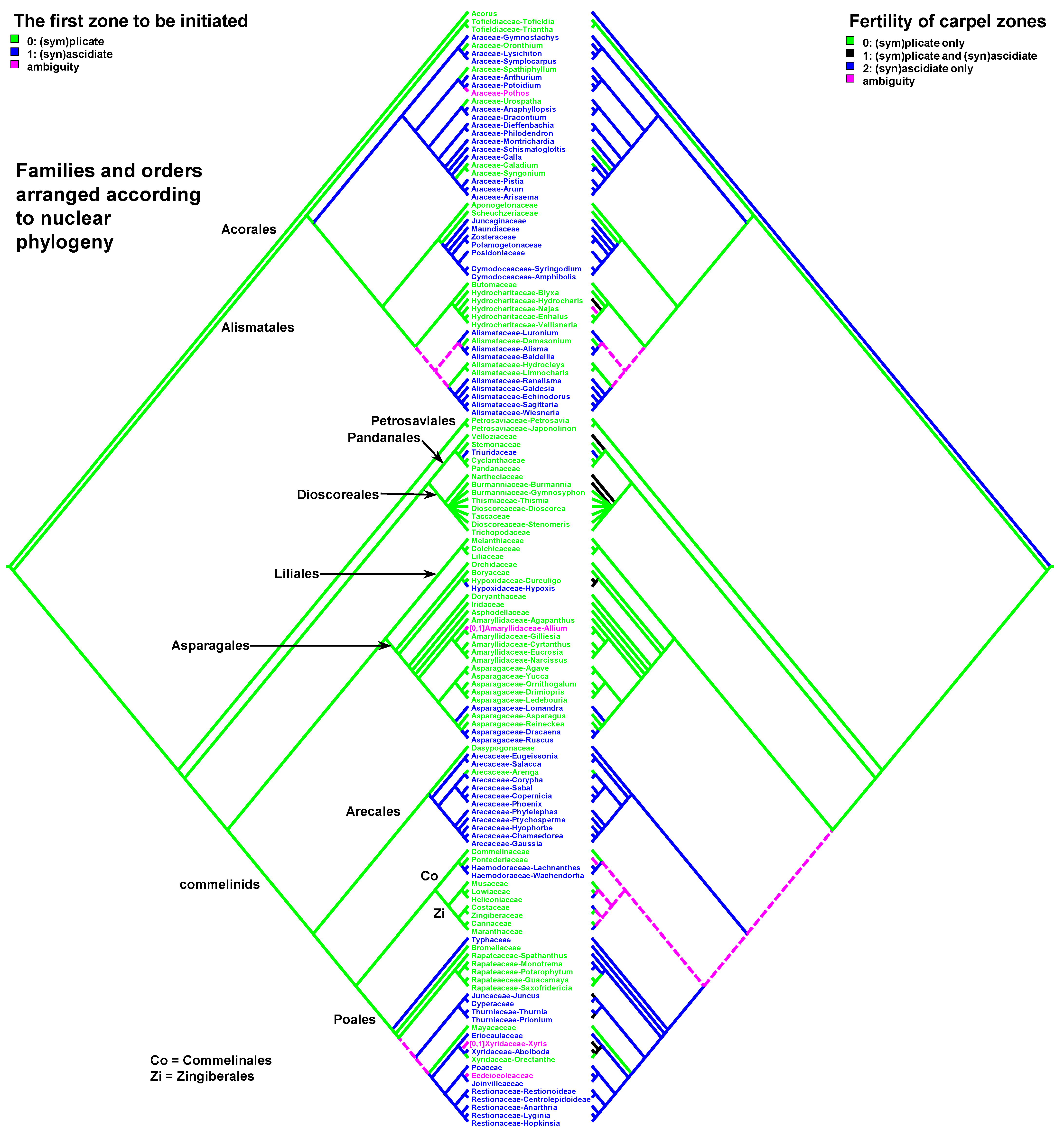 Plants 12 04138 g007 Plants 12 04138 g007