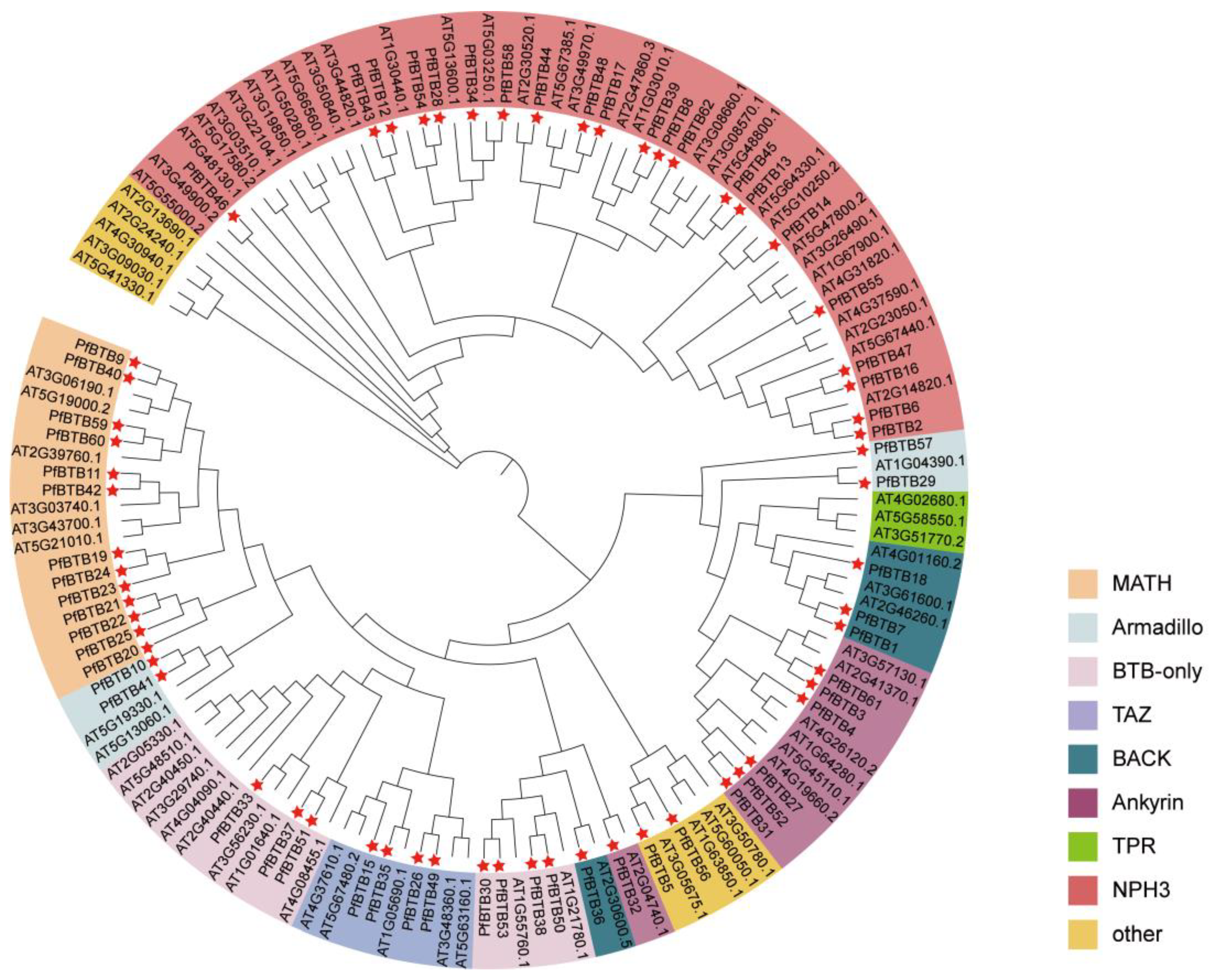 Plants 12 04144 g001