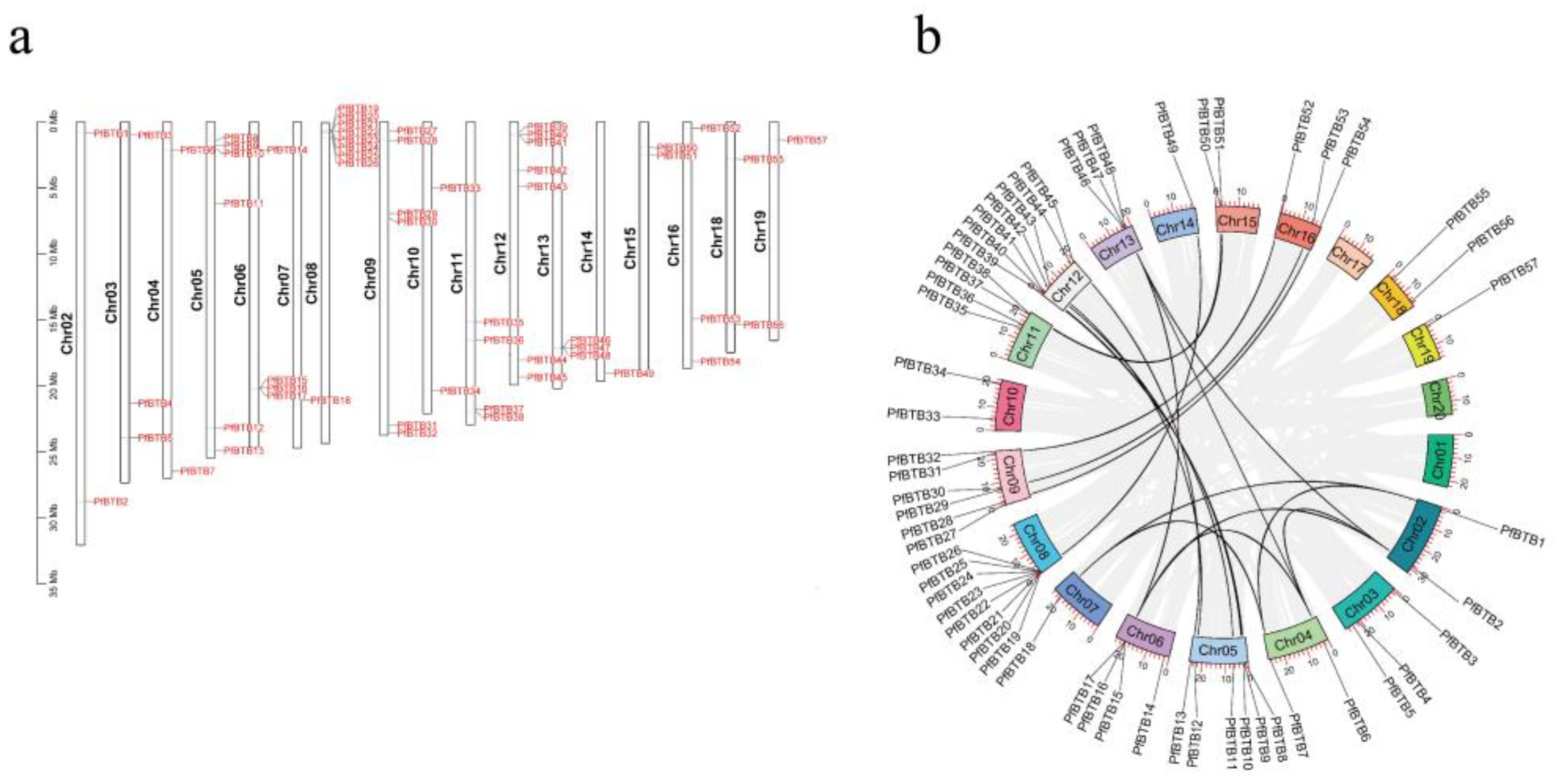 Plants 12 04144 g003