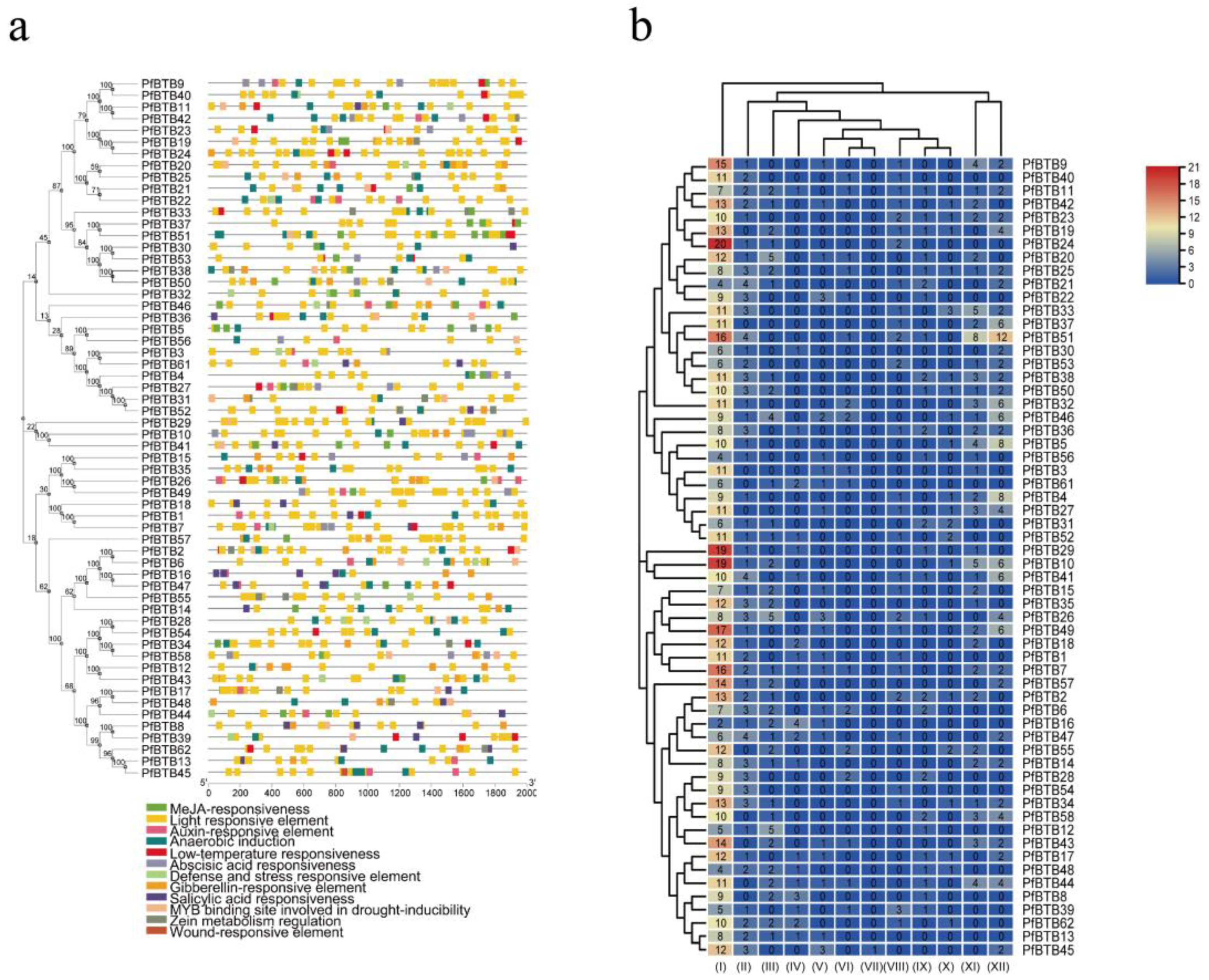 Plants 12 04144 g004