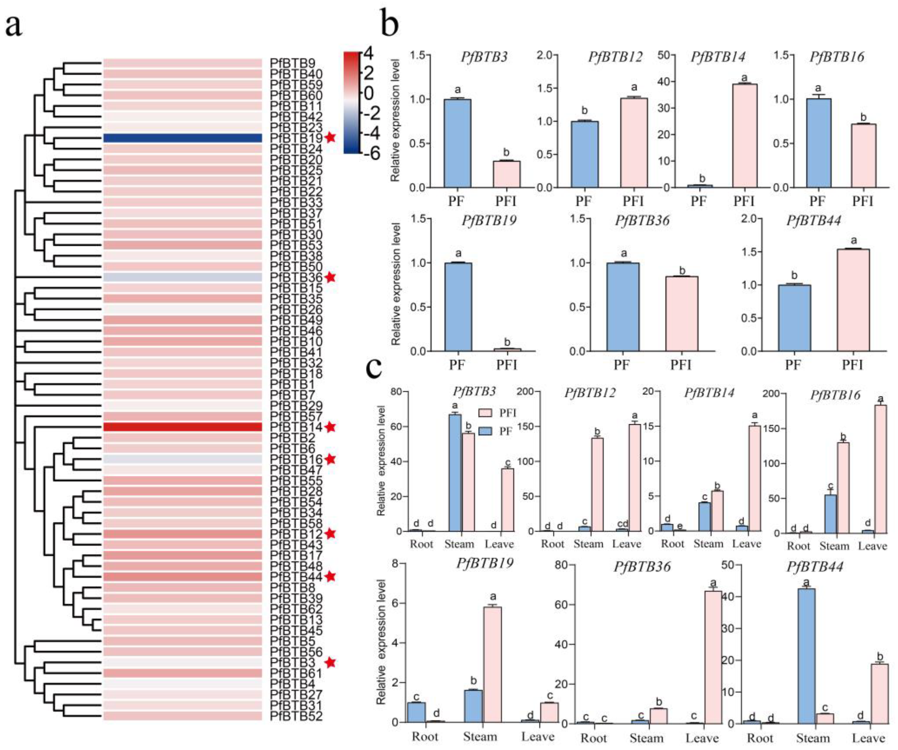 Plants 12 04144 g005