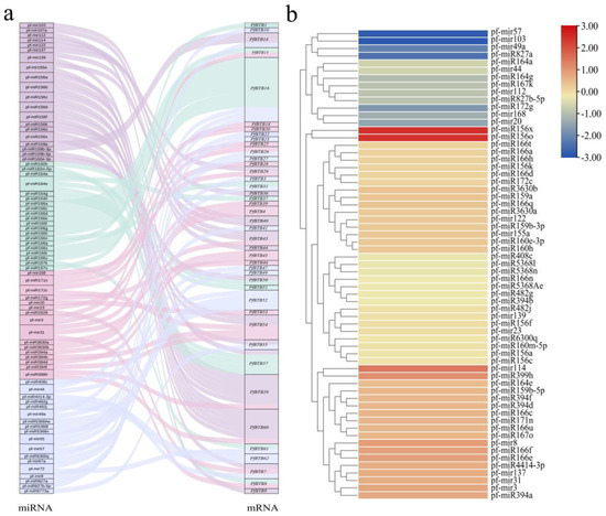 Bioinformatic Analysis of the BTB Gene Family in Paulownia fortunei and ...