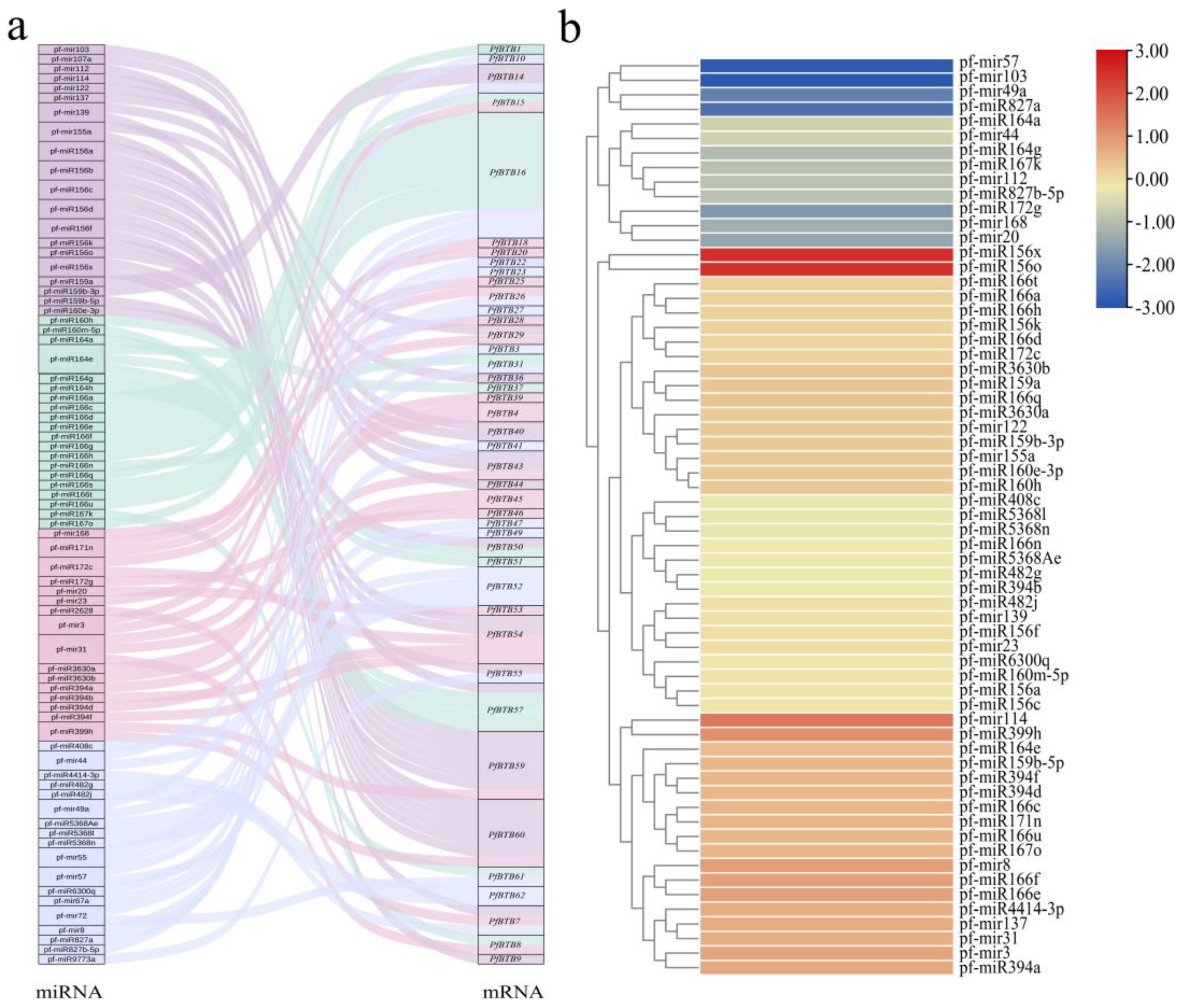 Plants 12 04144 g007