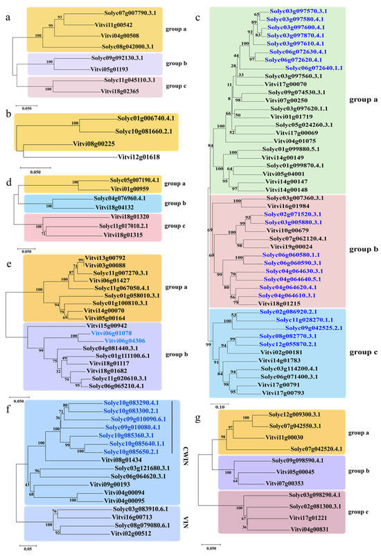 Divergent Retention of Sucrose Metabolism Genes after Whole Genome ...