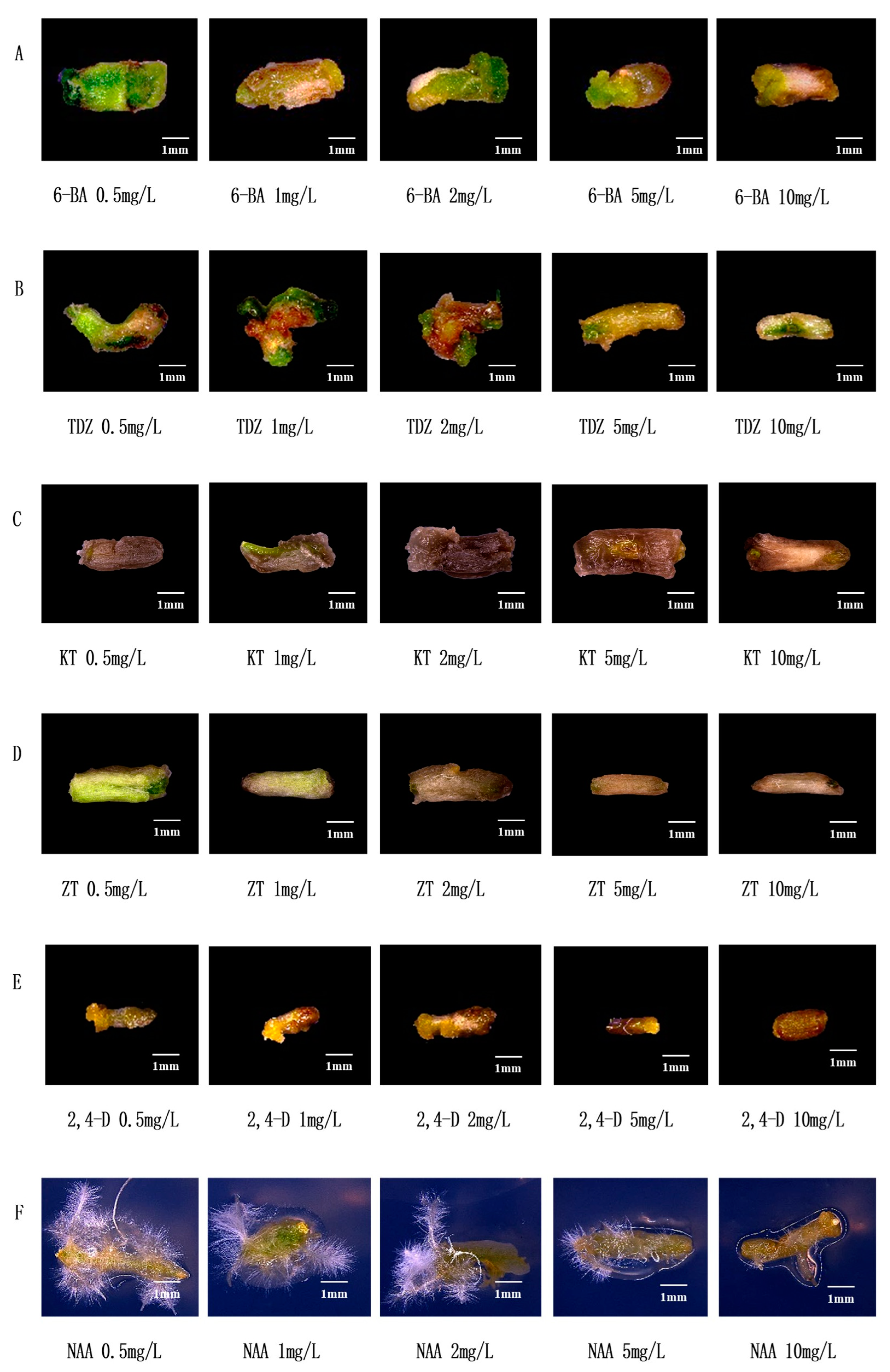 Plants 12 04149 g002