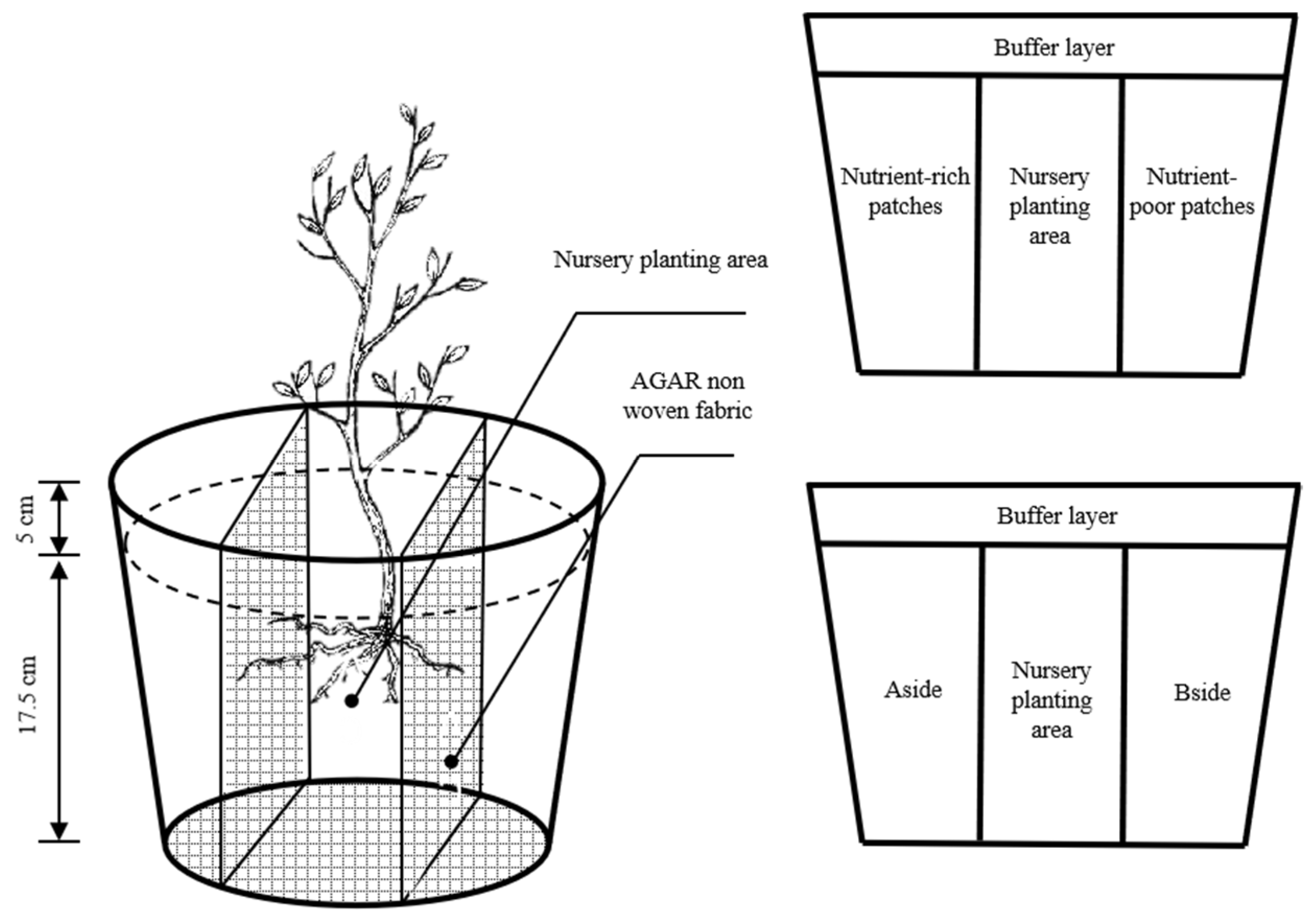 Plants 12 04152 g004