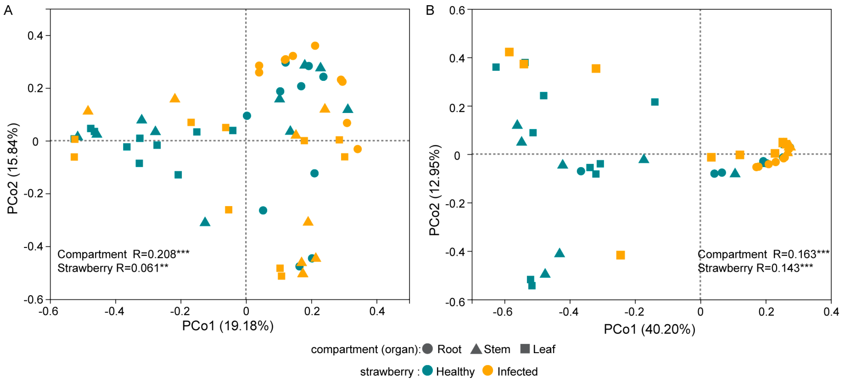 Plants 12 04153 g002