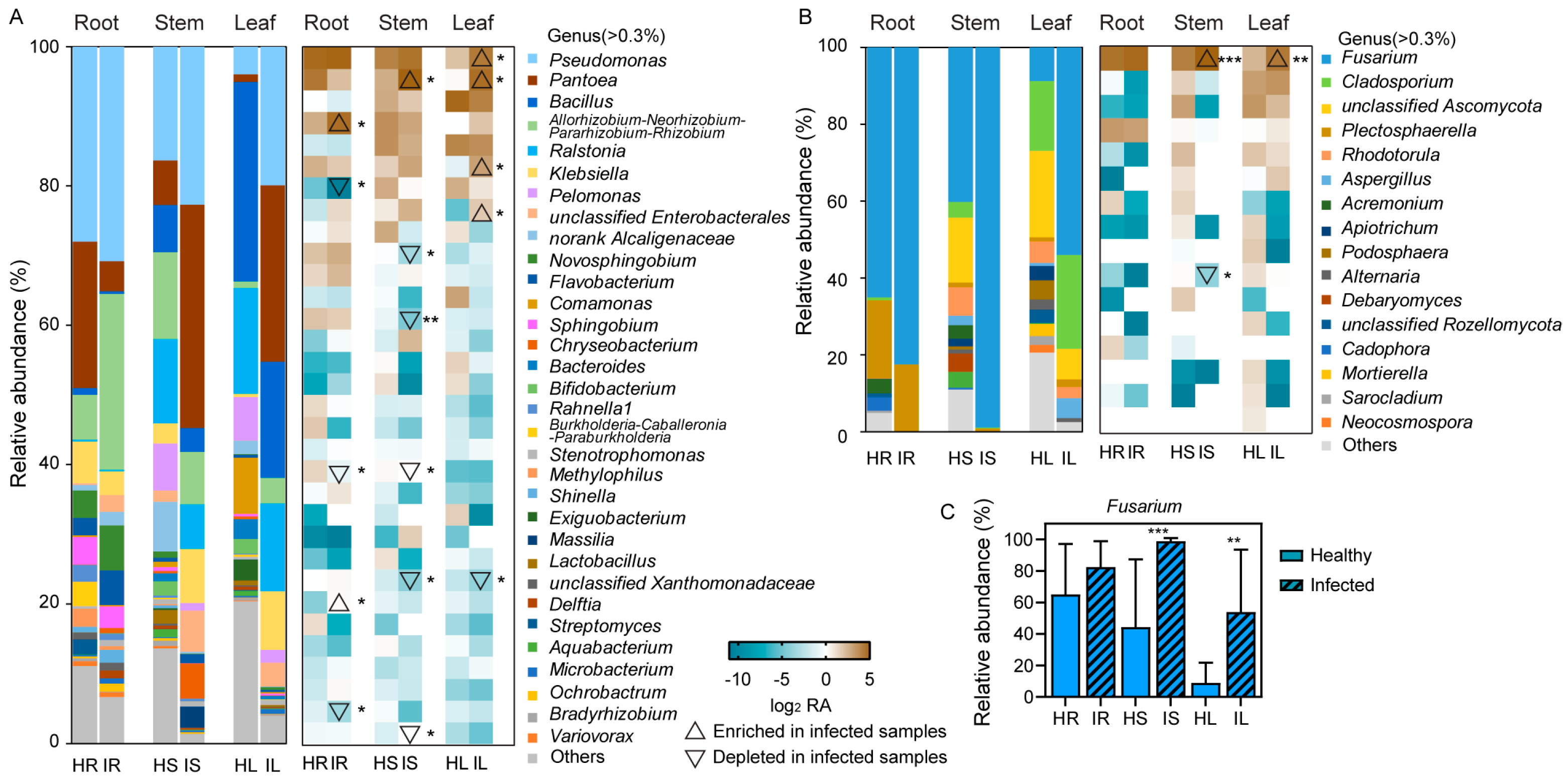 Plants 12 04153 g004