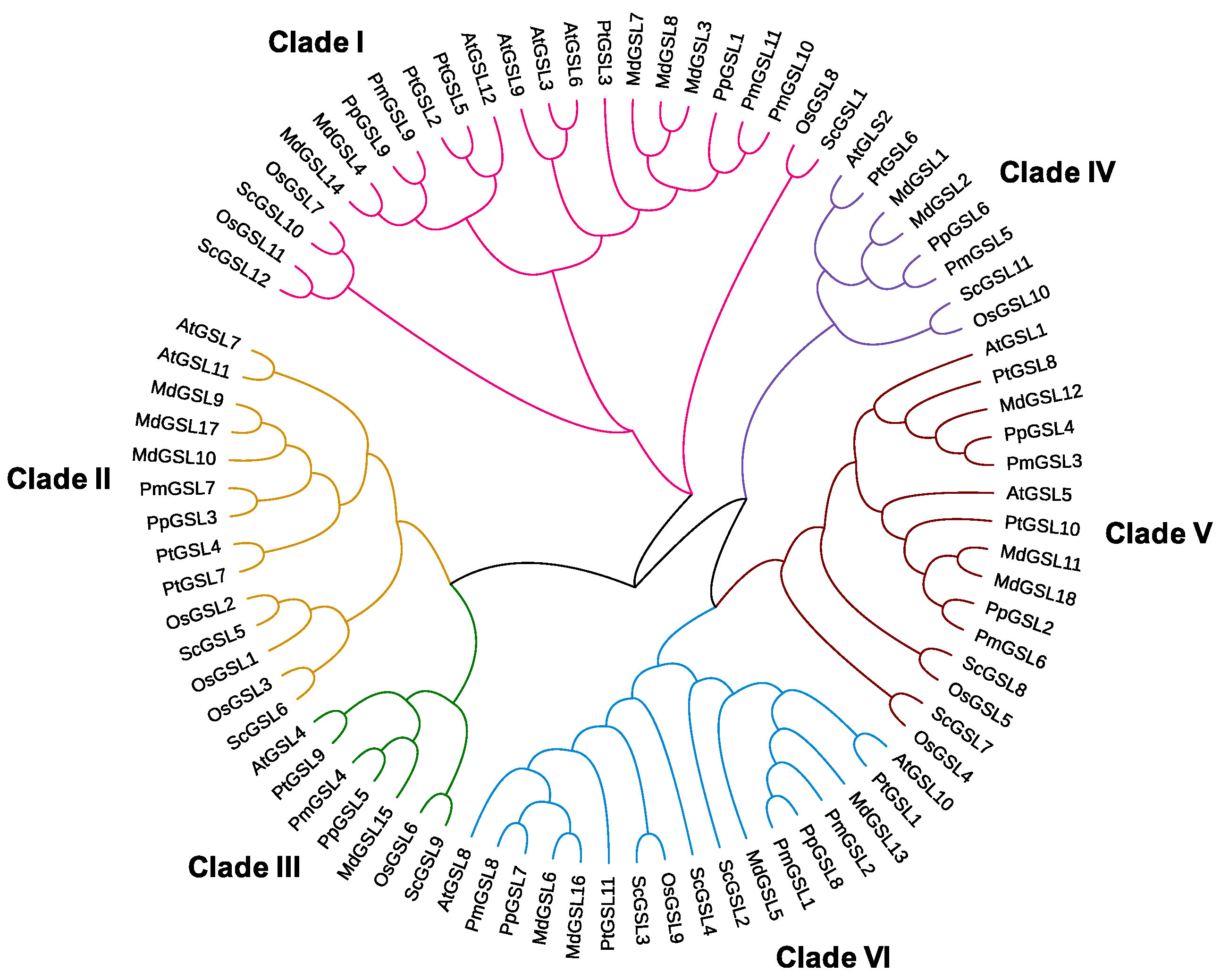 Plants 12 04159 g001 Plants 12 04159 g001