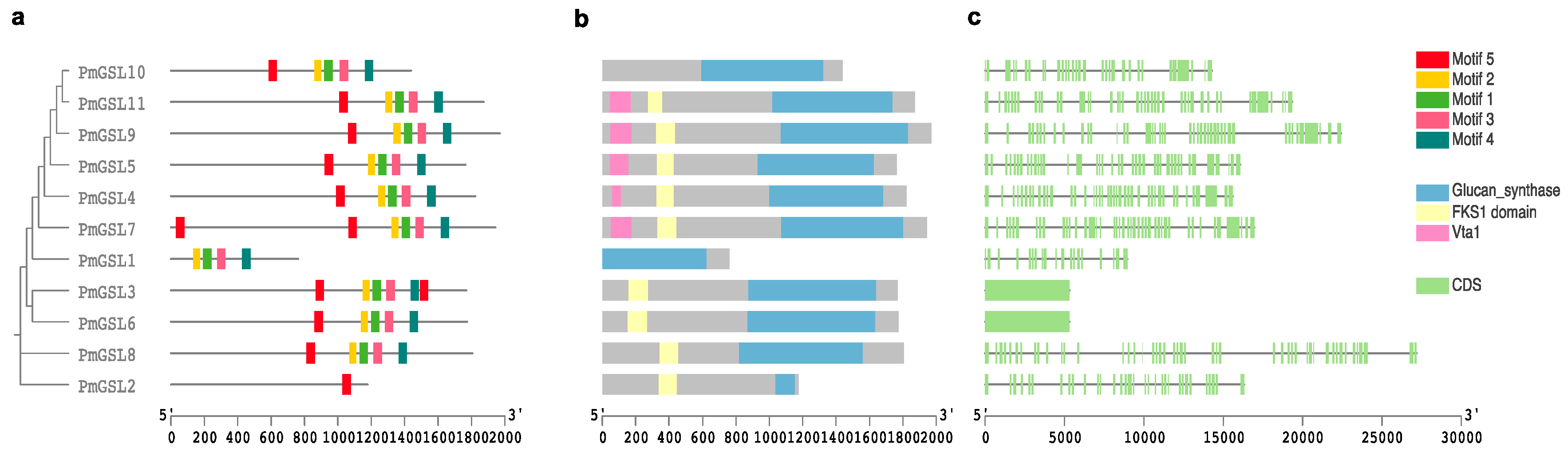 Plants 12 04159 g002 Plants 12 04159 g002