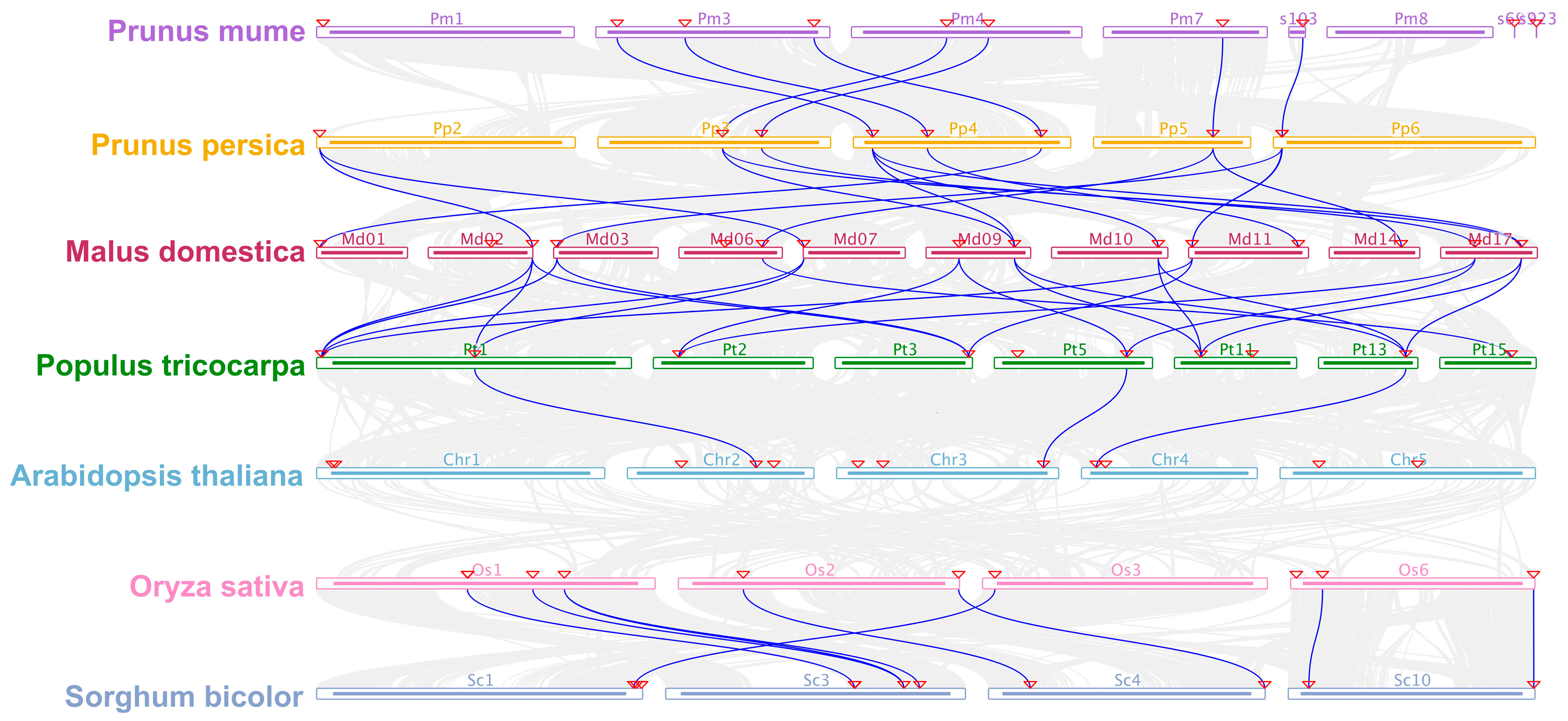 Plants 12 04159 g003 Plants 12 04159 g003