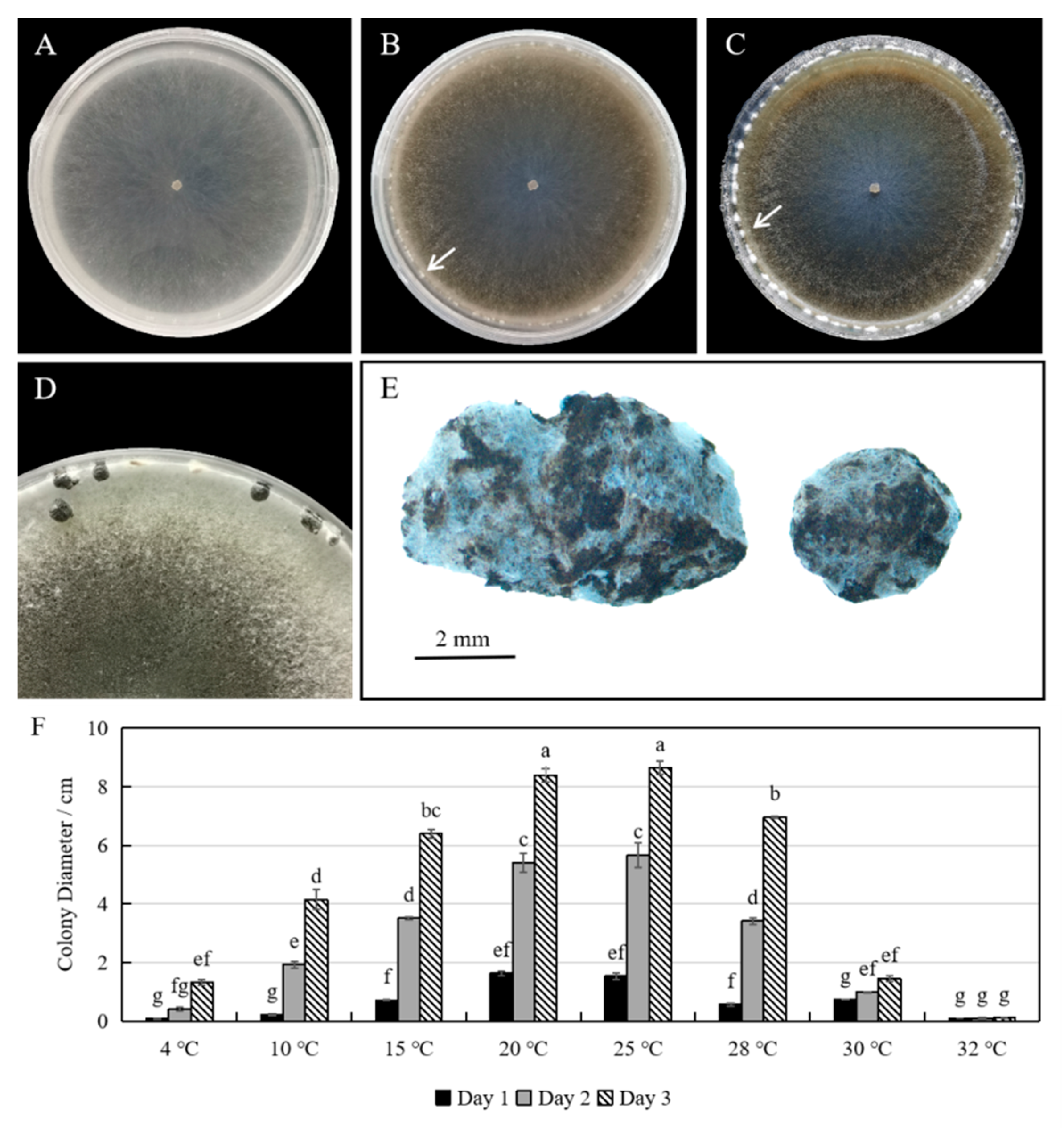 Plants 12 04165 g002 Plants 12 04165 g002