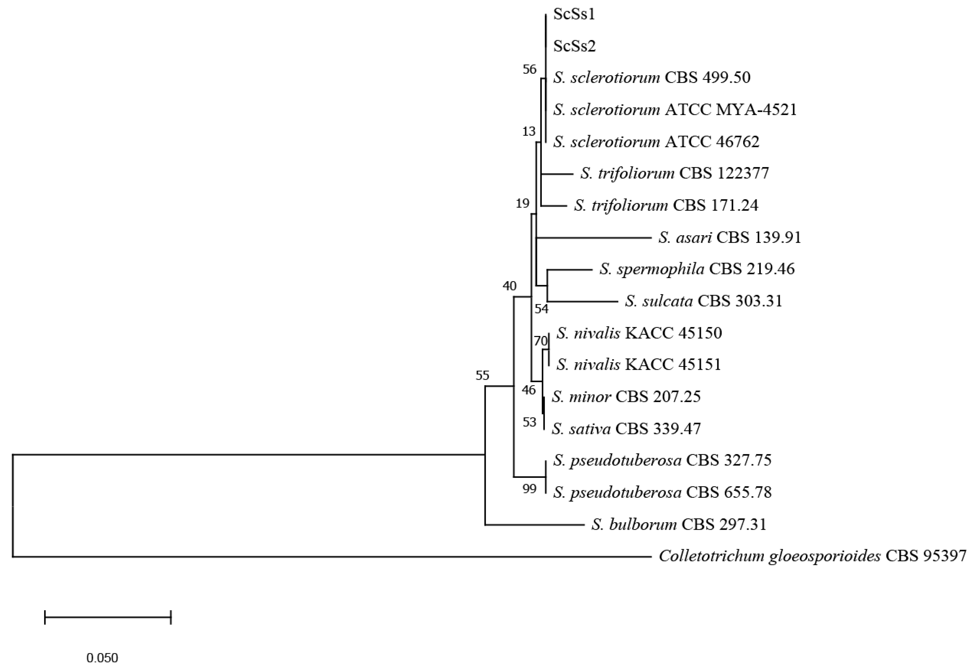 Plants 12 04165 g003 Plants 12 04165 g003