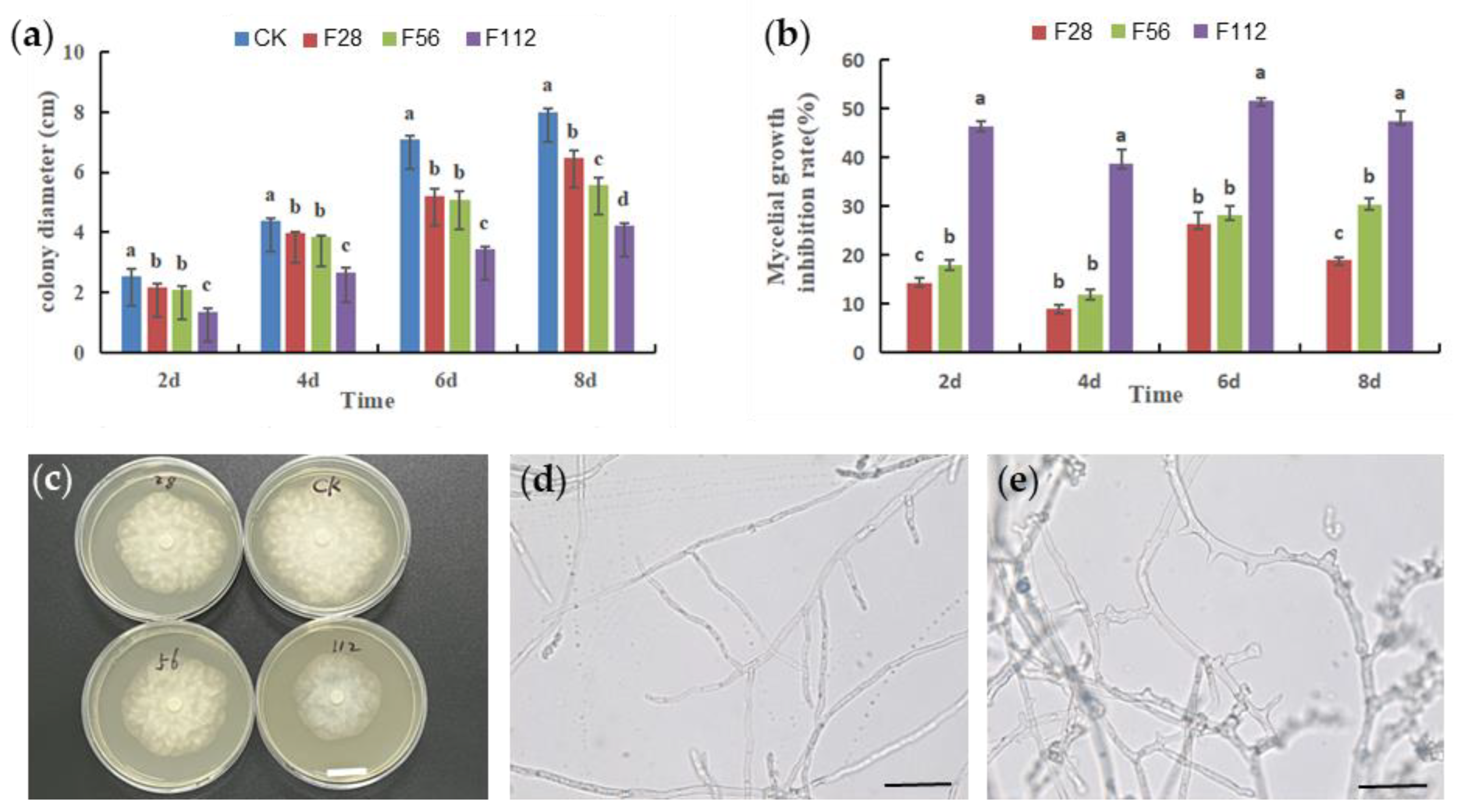 Plants 12 04168 g001