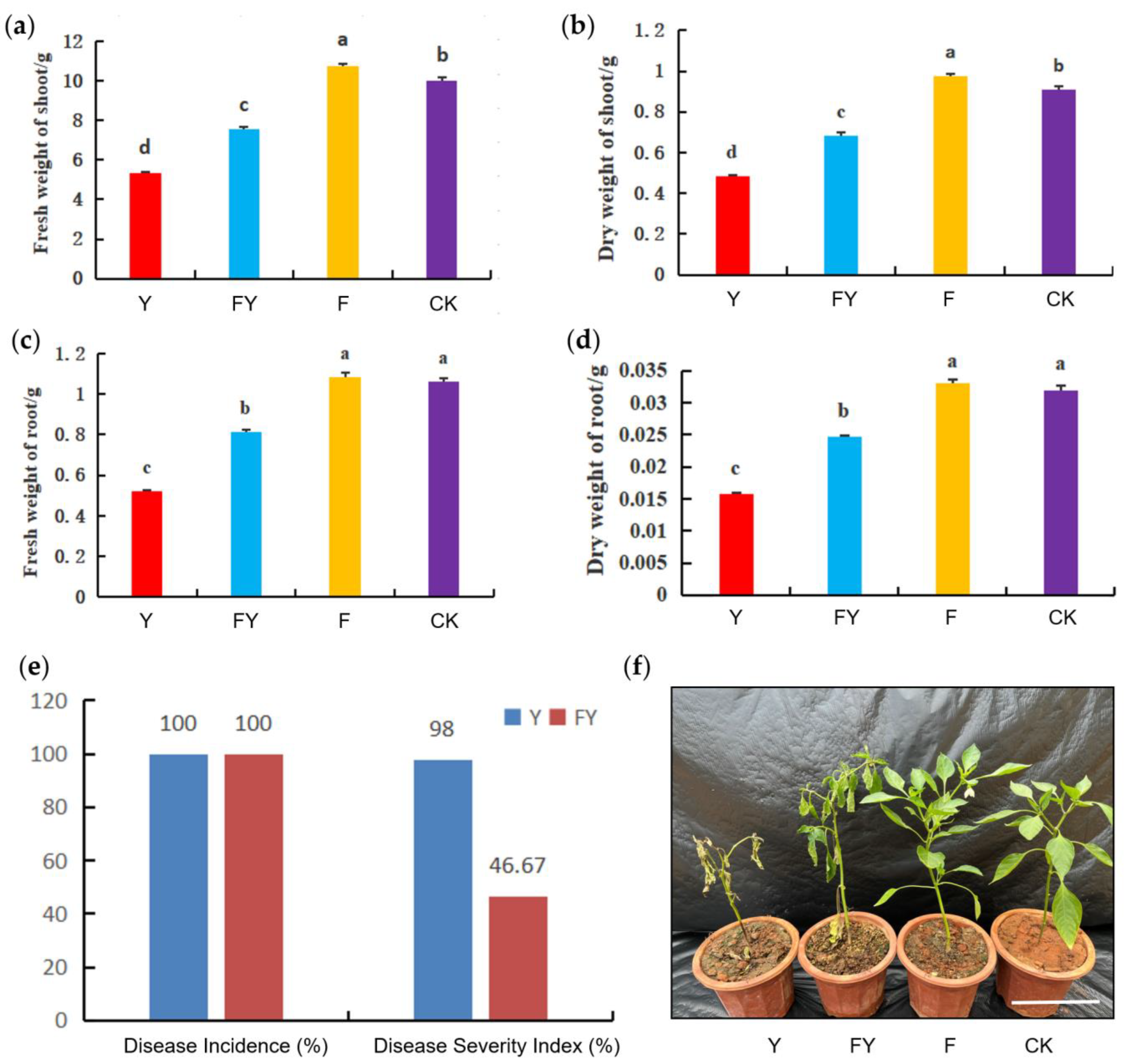 Plants 12 04168 g003