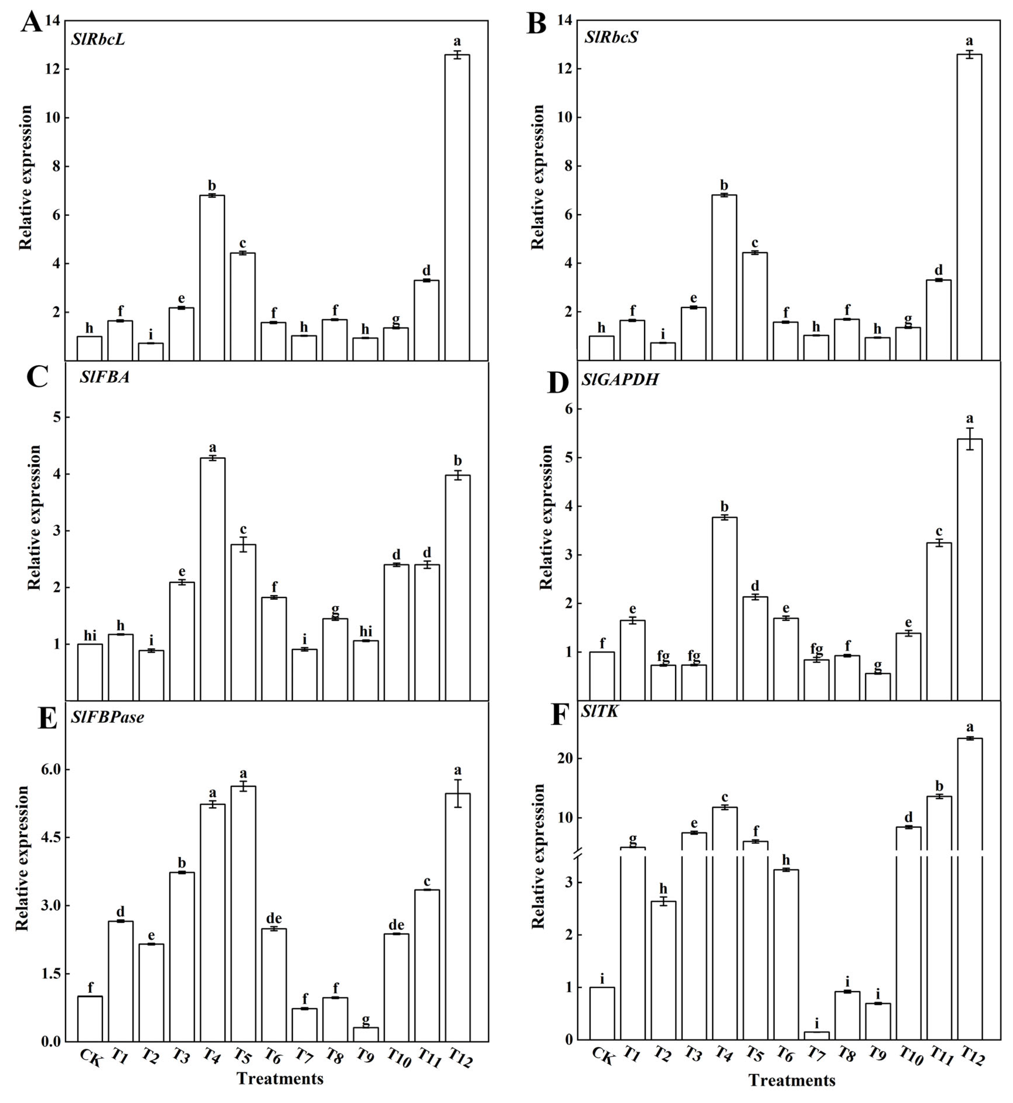 Plants 12 04175 g006 Plants 12 04175 g006