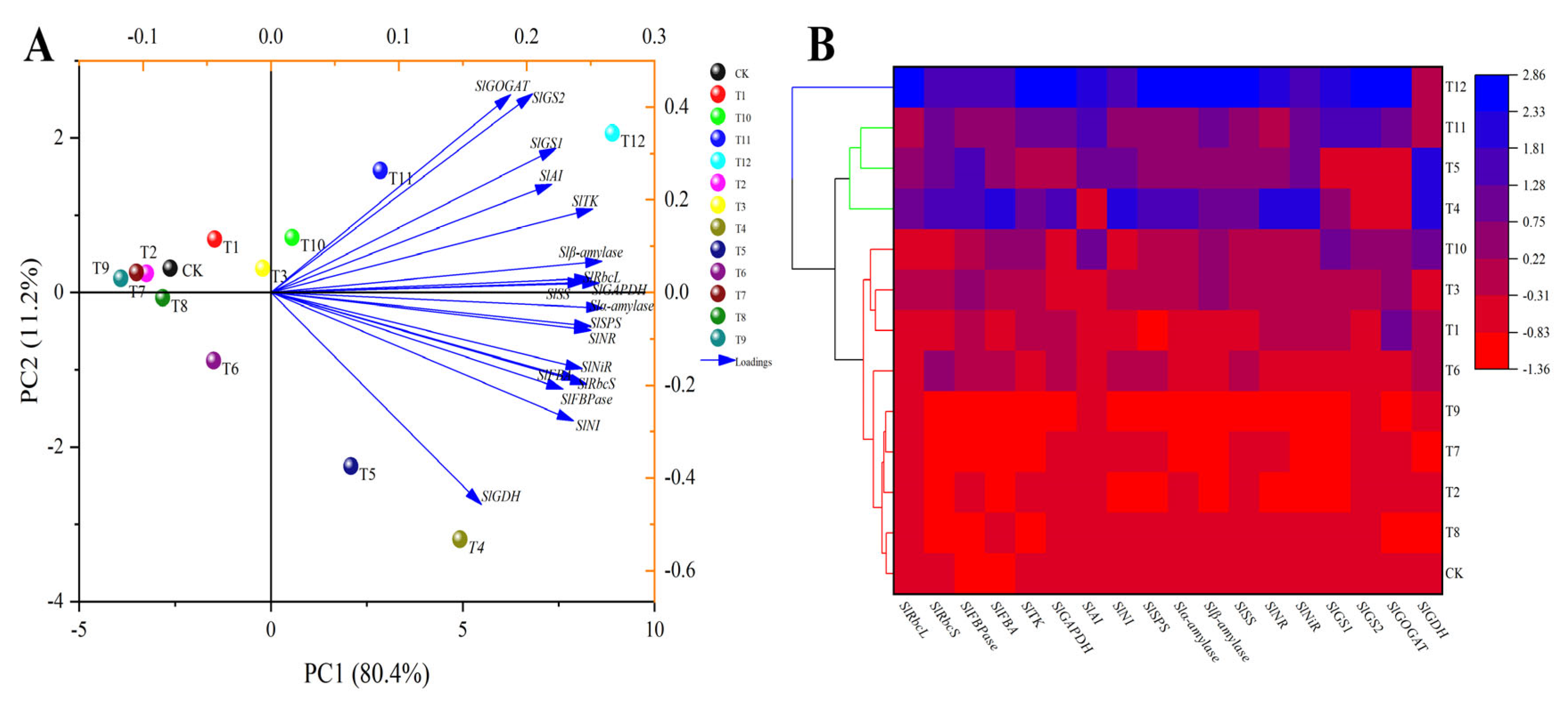 Plants 12 04175 g013 Plants 12 04175 g013