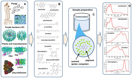 A Prototype Method for the Detection and Recognition of Pigments