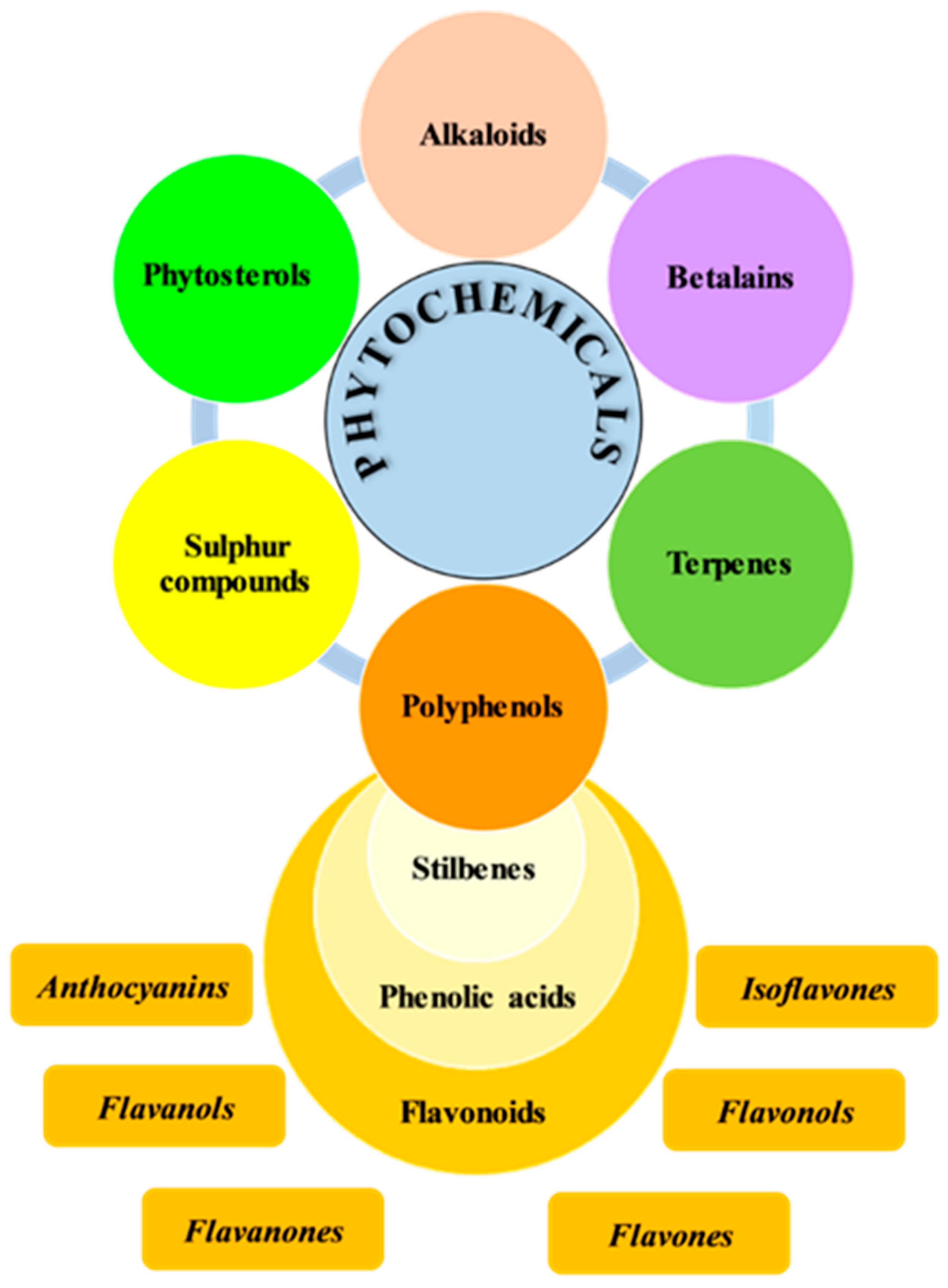 Plants 12 04179 g001