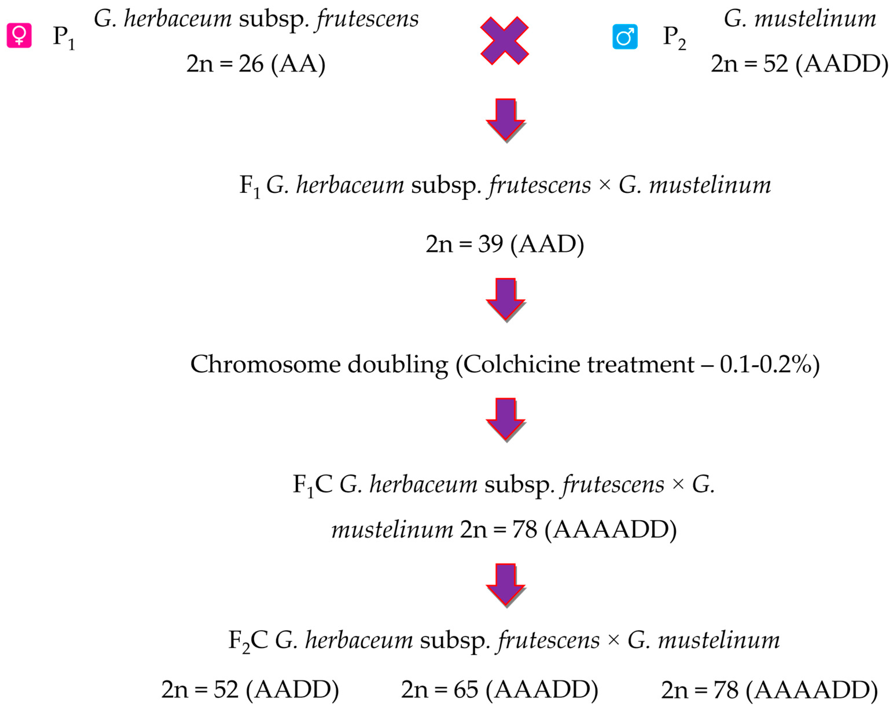 Plants 12 04184 g001